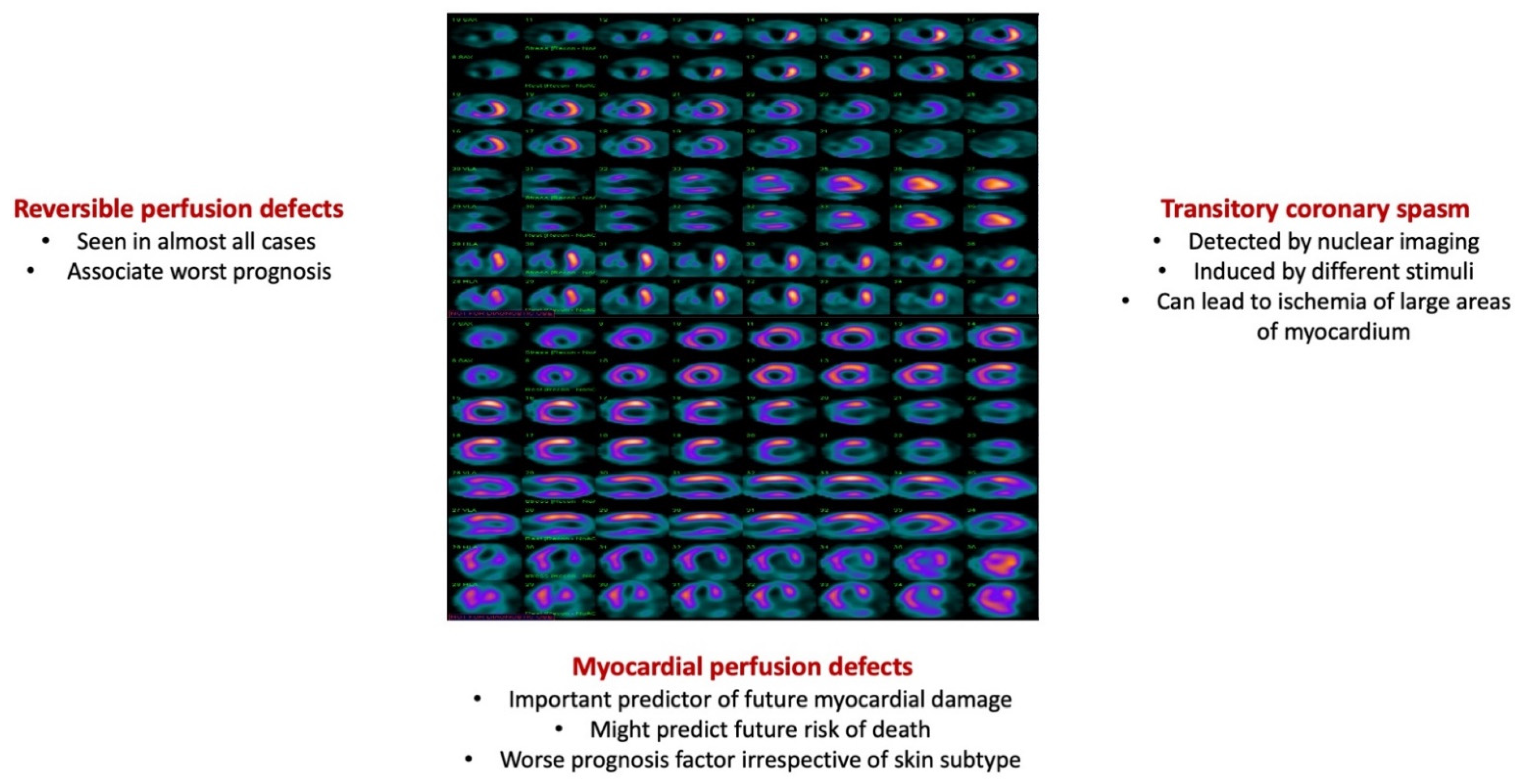 Diagnostics 12 00669 g002