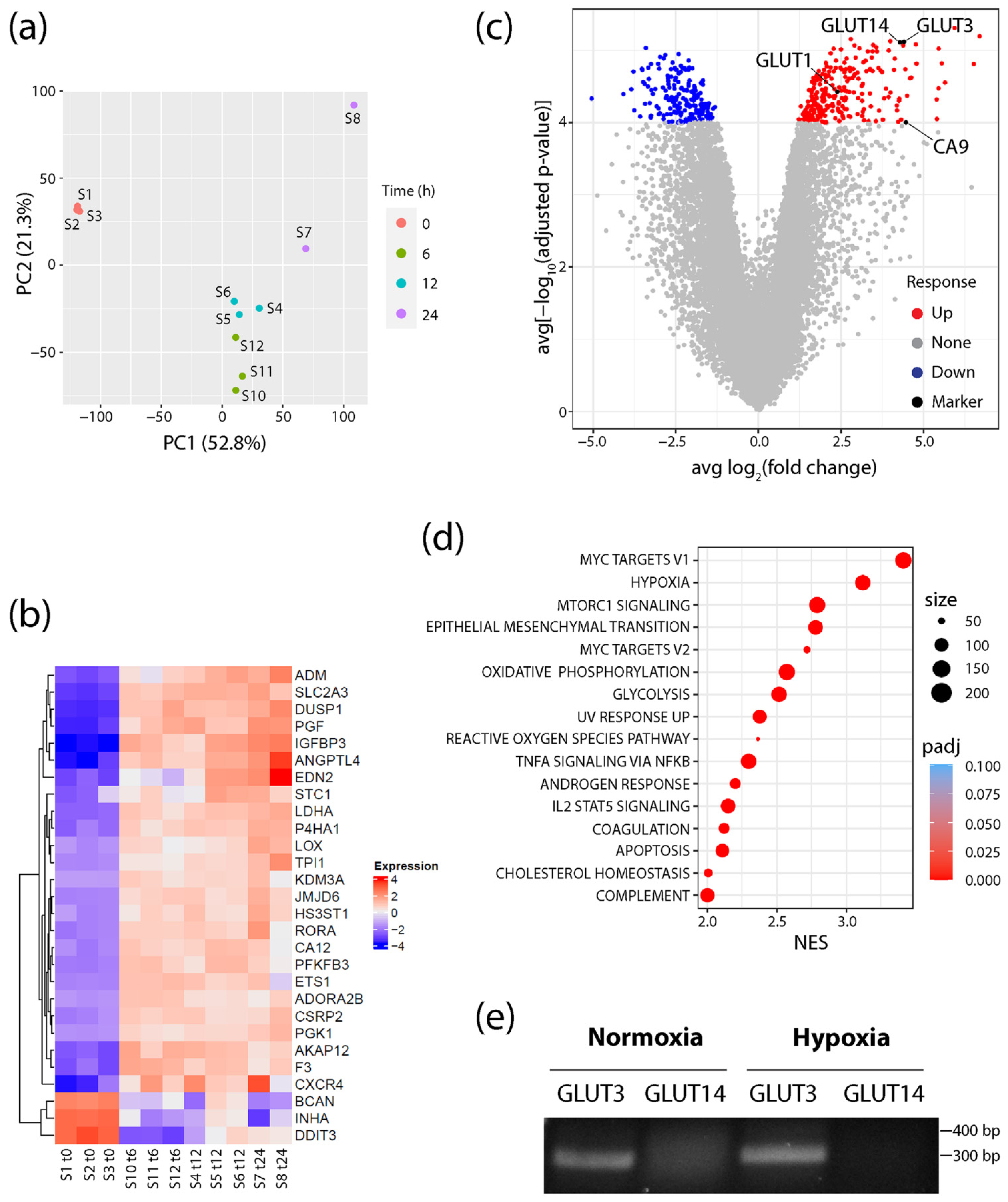 Diagnostics 12 00676 g001 550