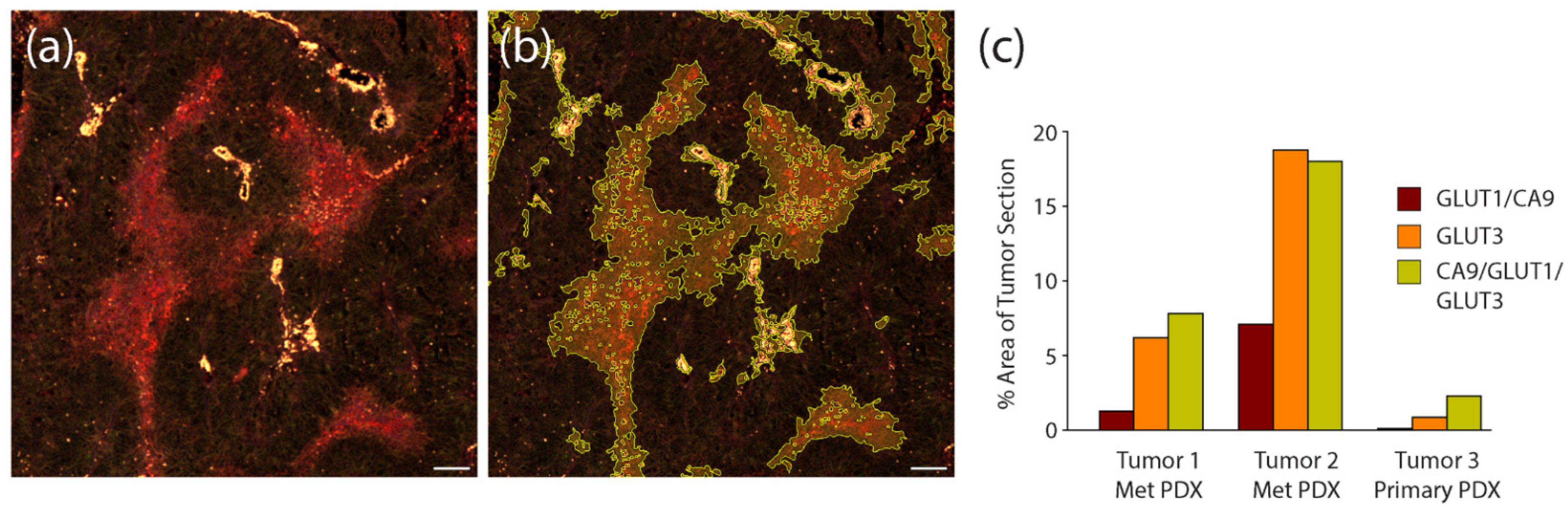 Diagnostics 12 00676 g008 550