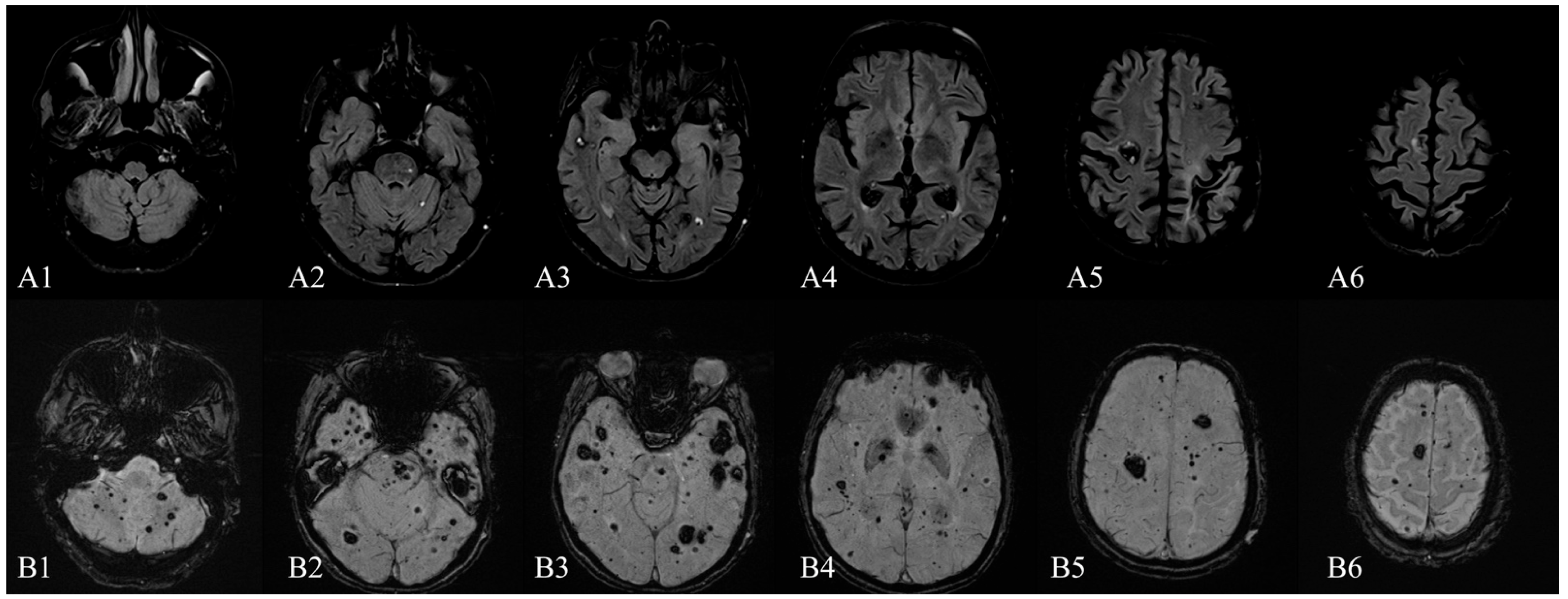 Diagnostics 12 00677 g001