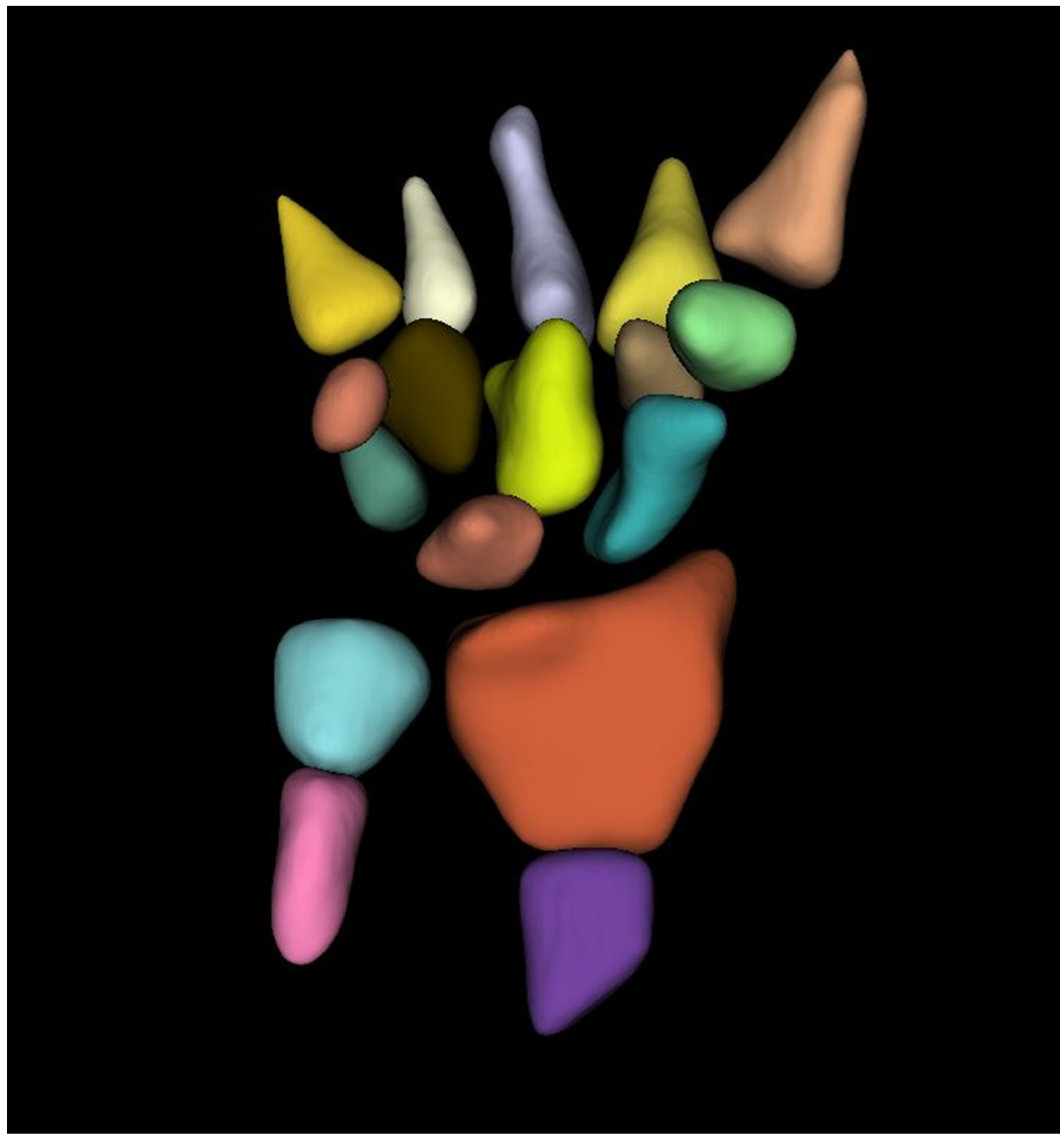 Diagnostics 12 00691 g001