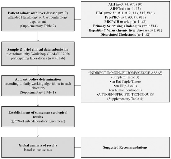 Diagnostics Free FullText Working Algorithms and Detection Methods