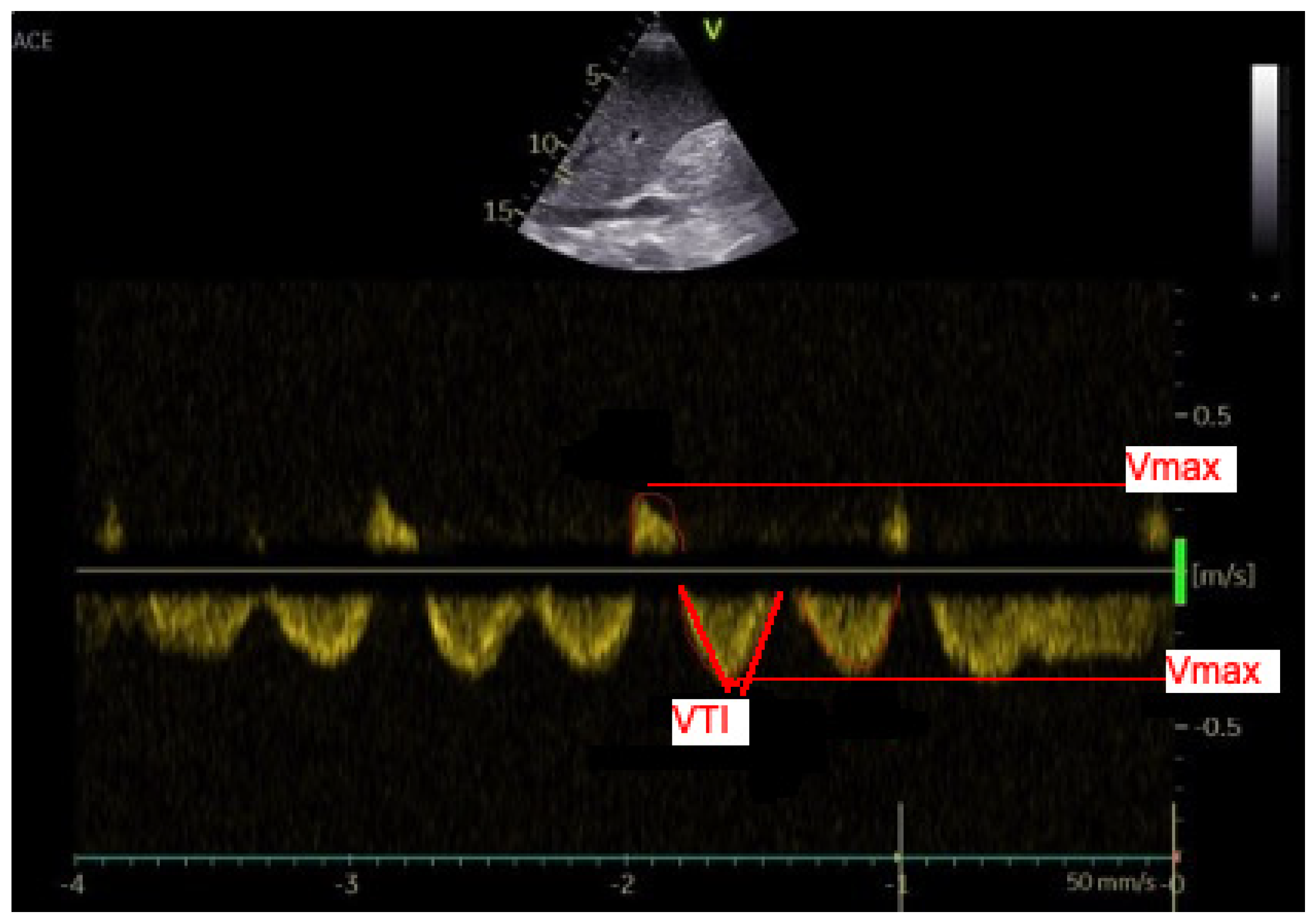 Diagnostics 12 00699 g002