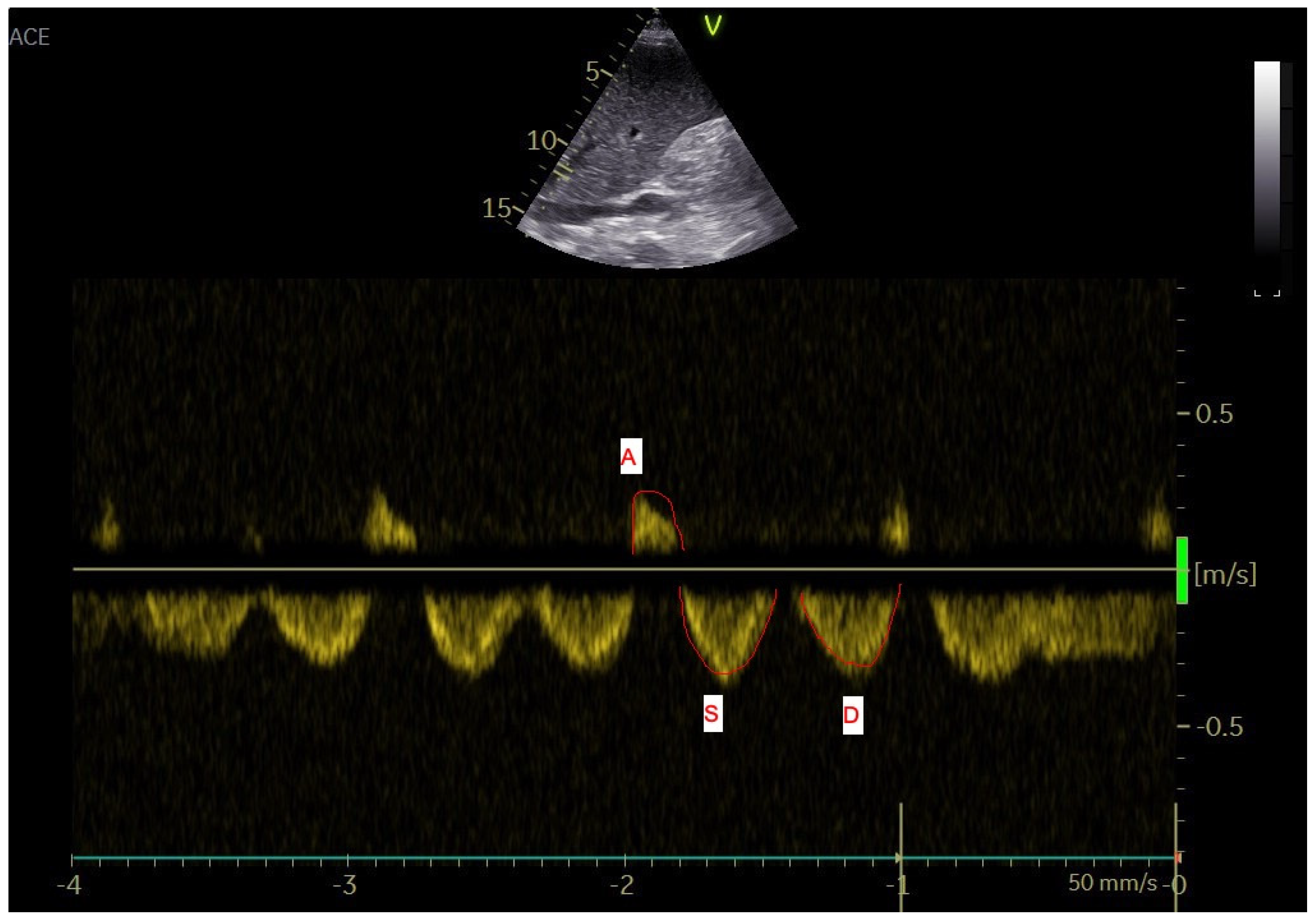 Diagnostics 12 00699 g003