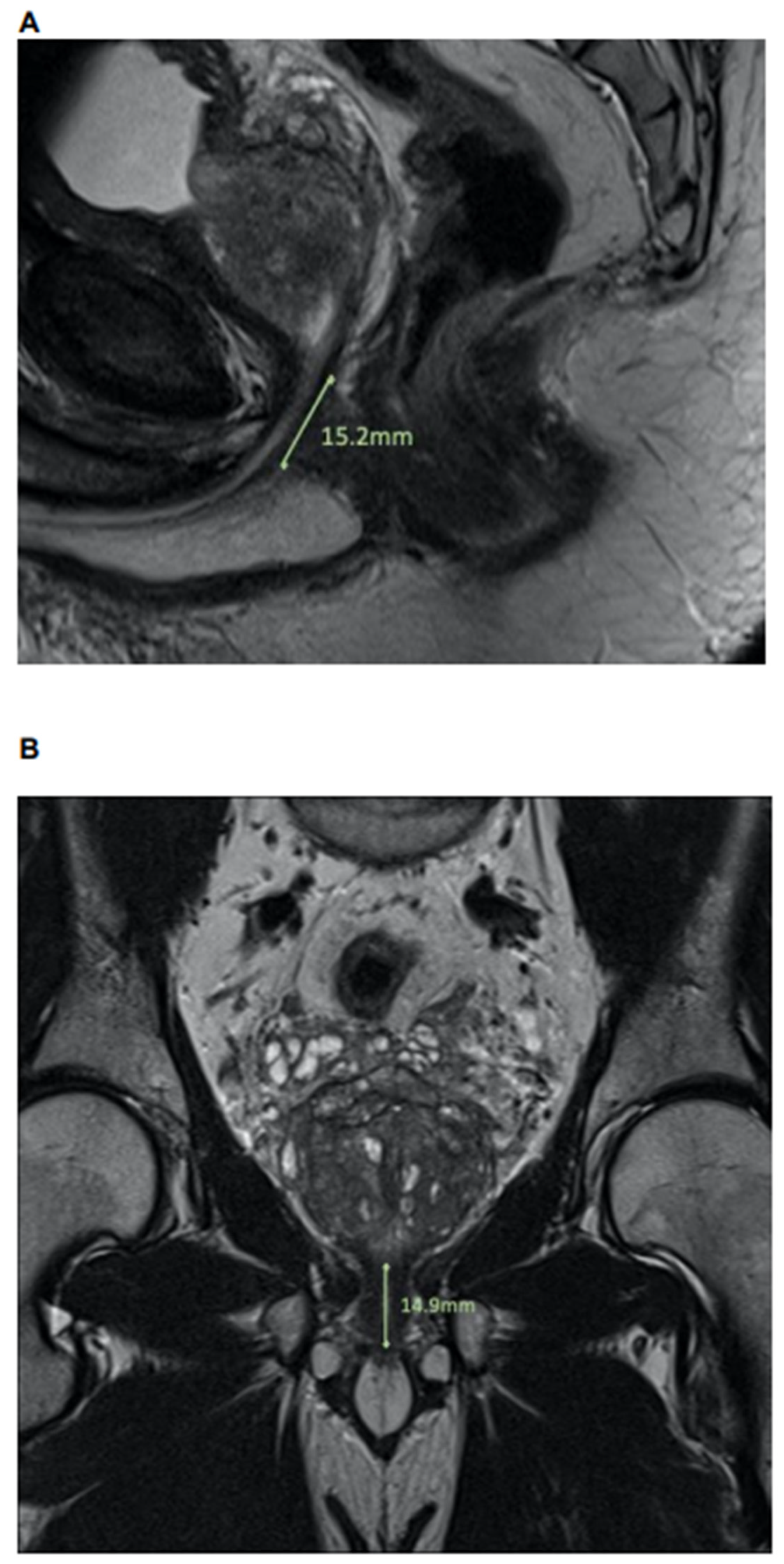 Diagnostics 12 00701 g001 550