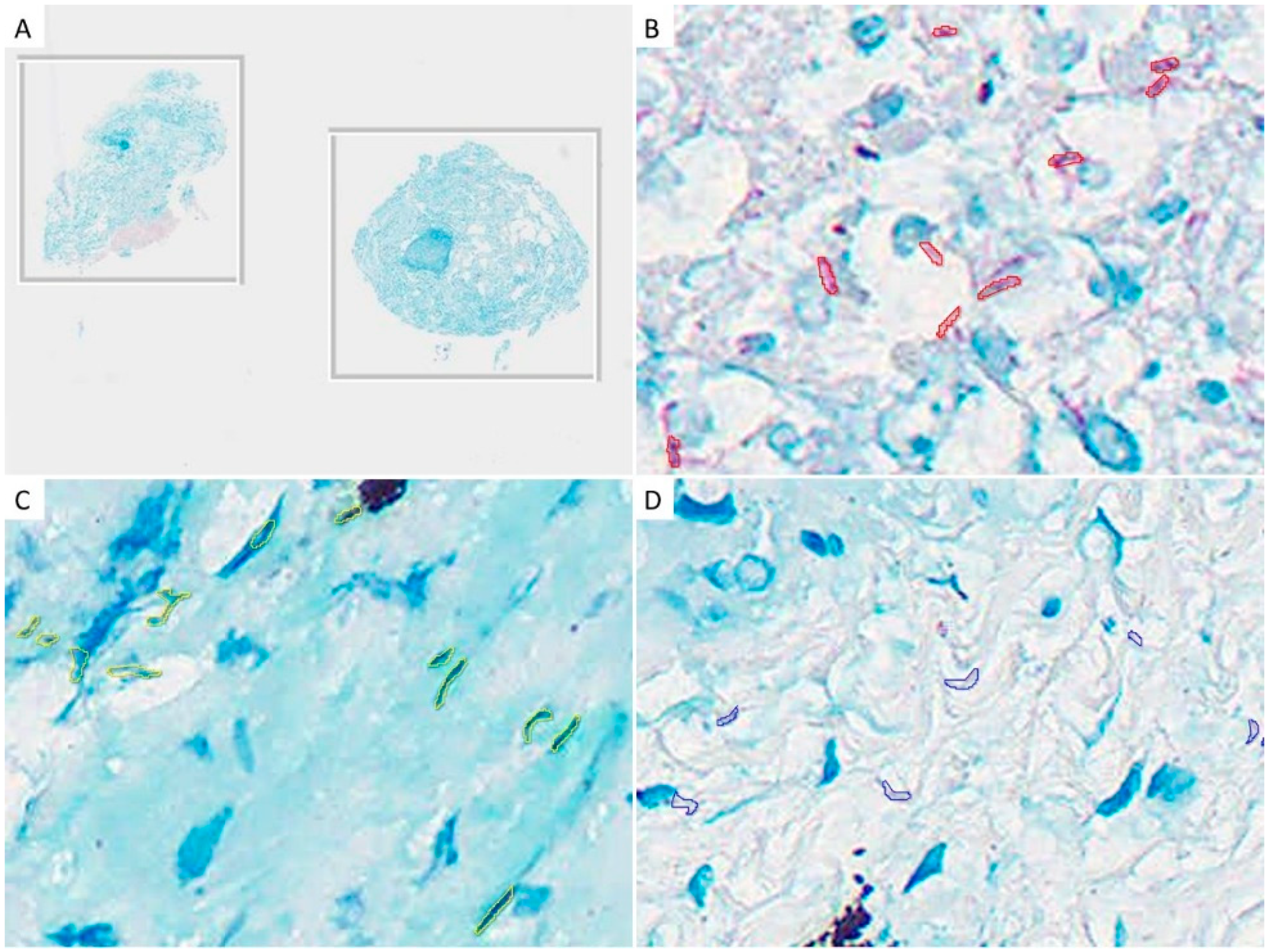 Diagnostics 12 00709 g001