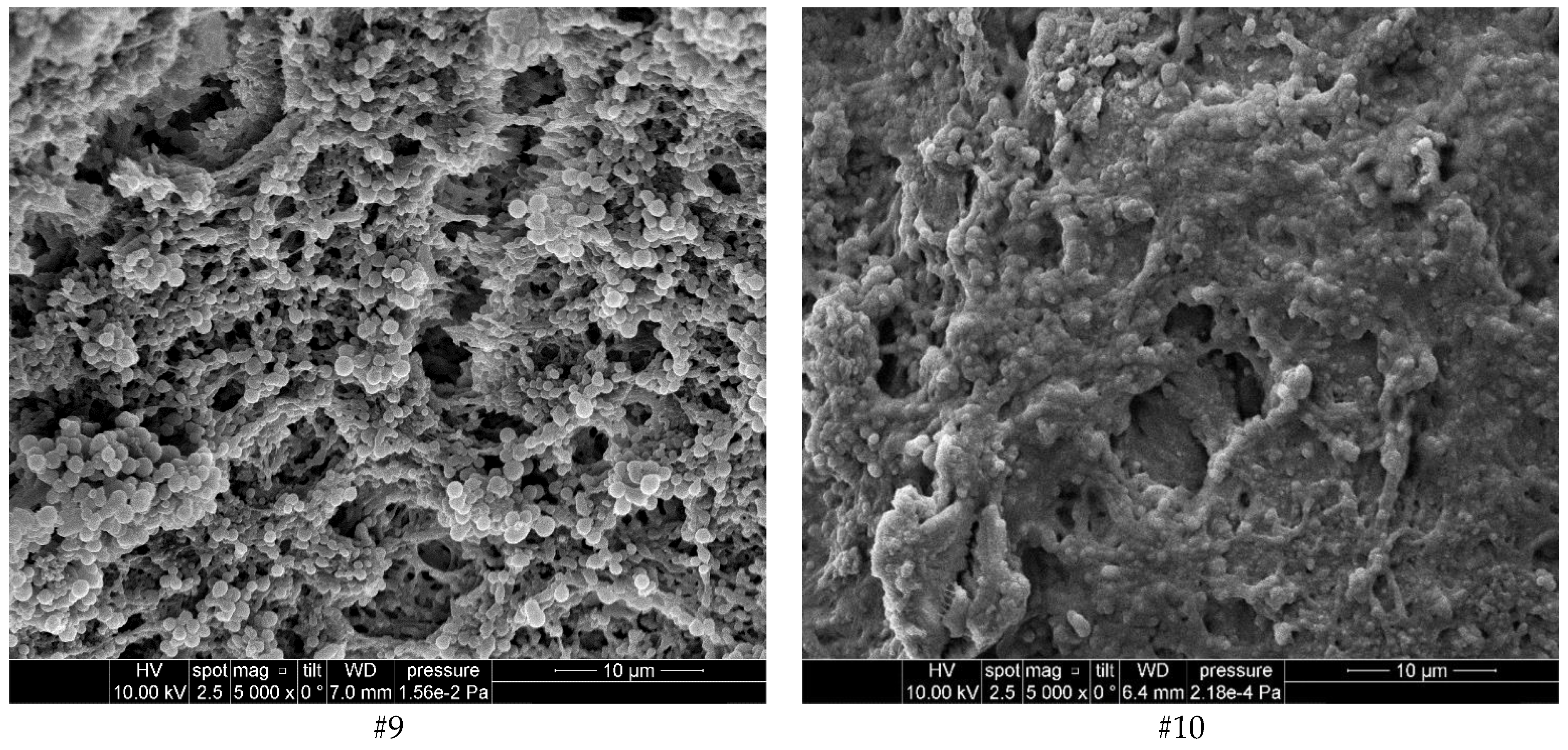 Diagnostics 12 00723 g002c Diagnostics 12 00723 g002c