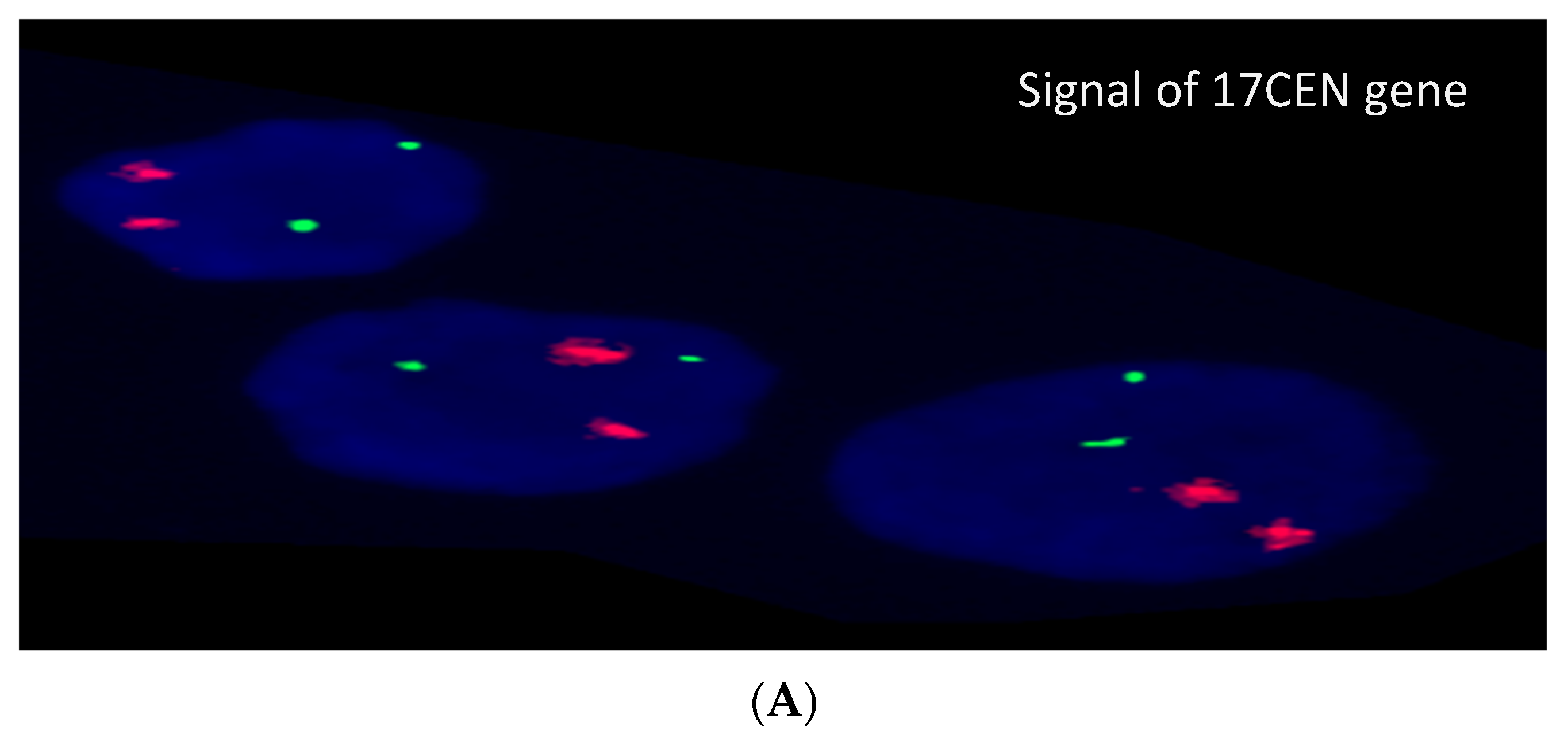 Diagnostics 12 00724 g002a