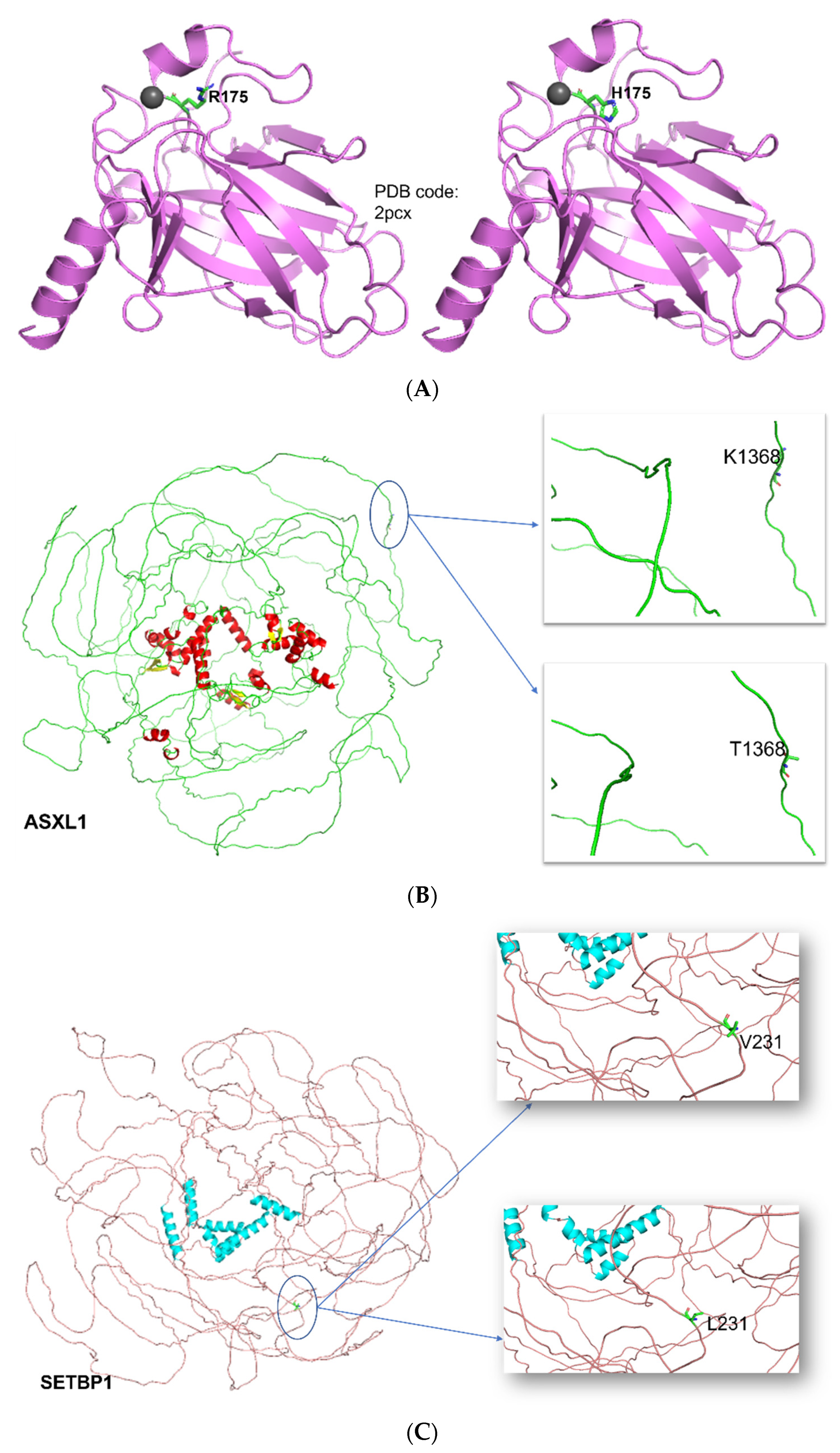 Diagnostics 12 00724 g004