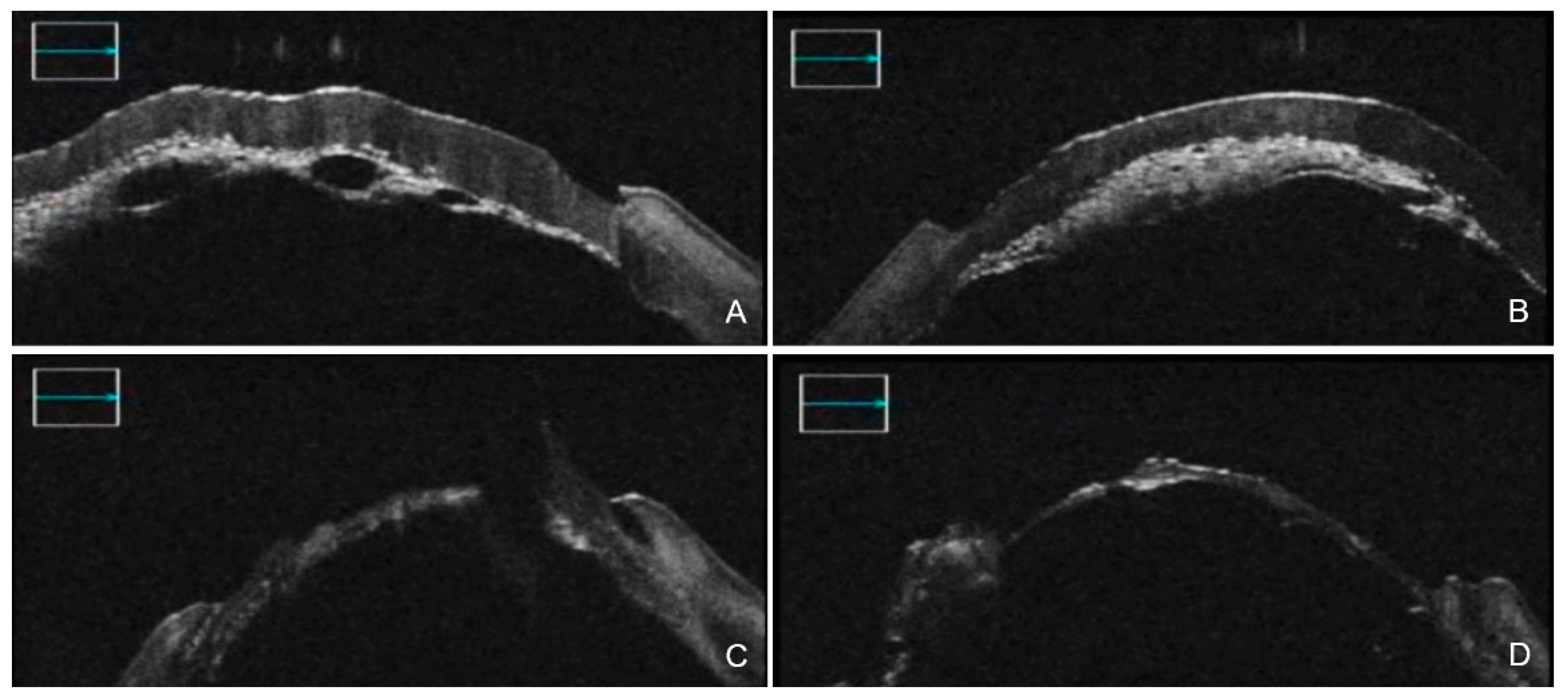 Diagnostics 12 00727 g001