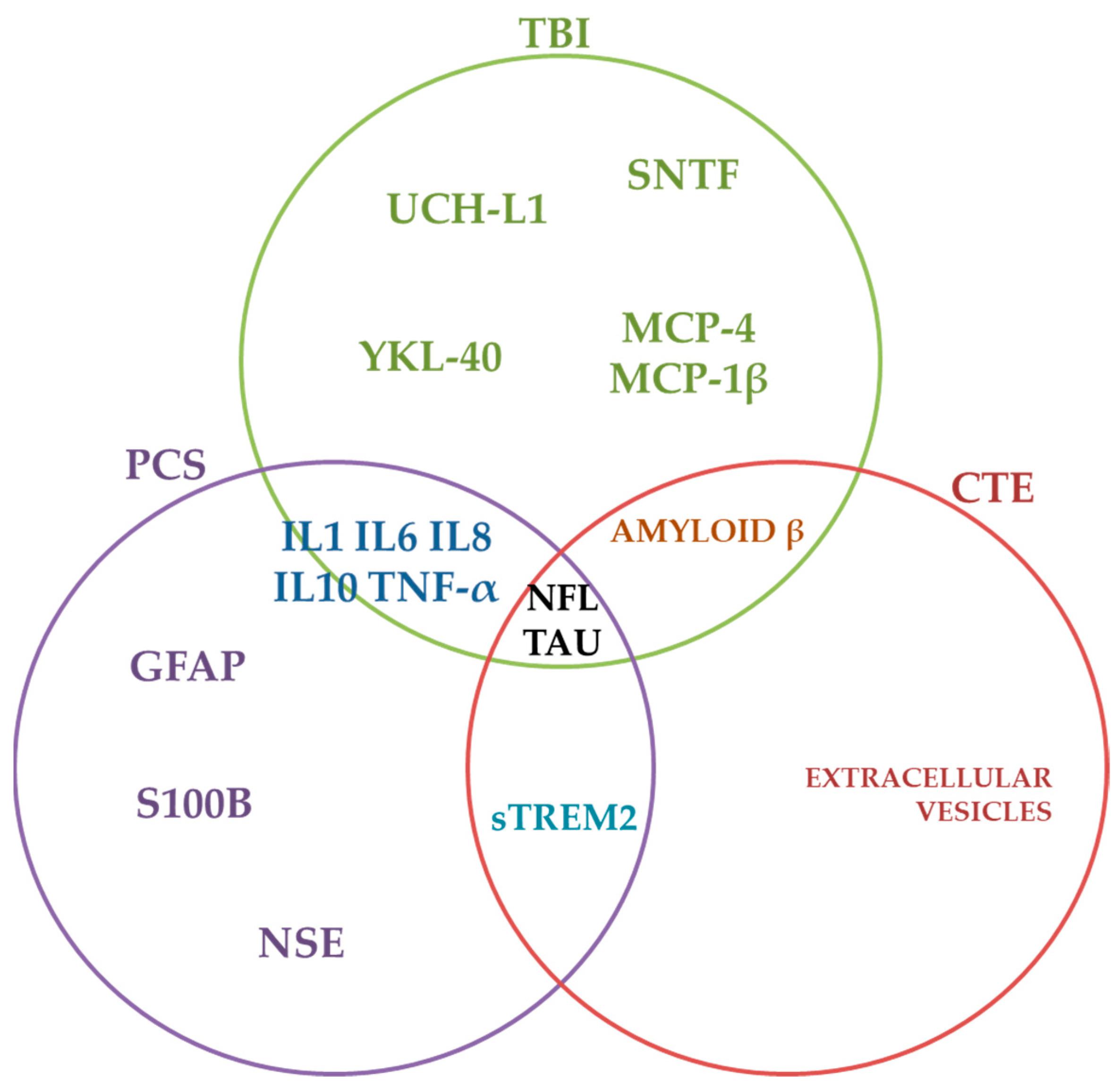 Diagnostics 12 00740 g002