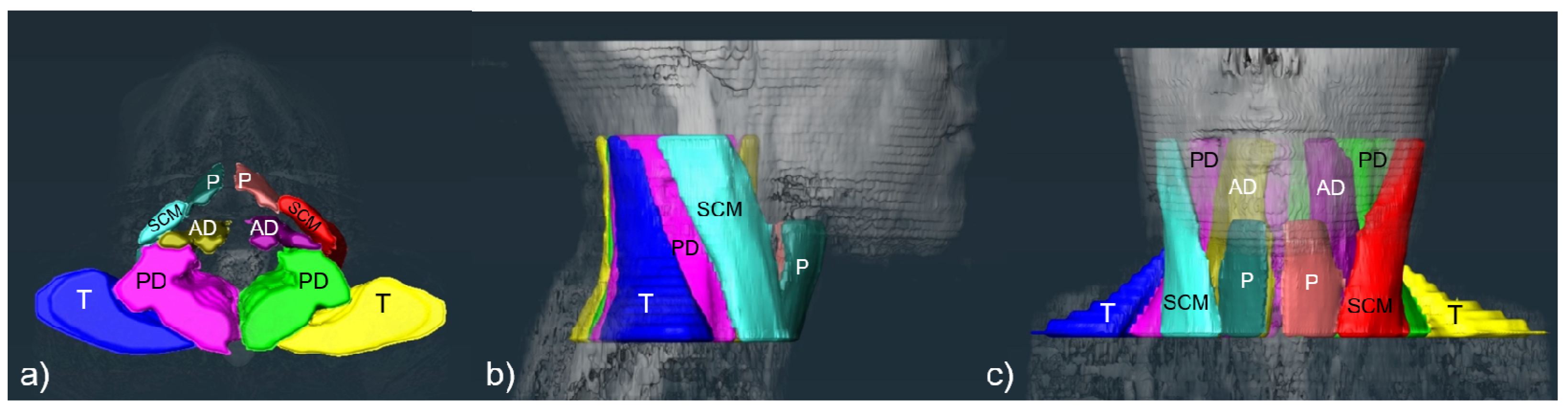 Diagnostics 12 00743 g001 550
