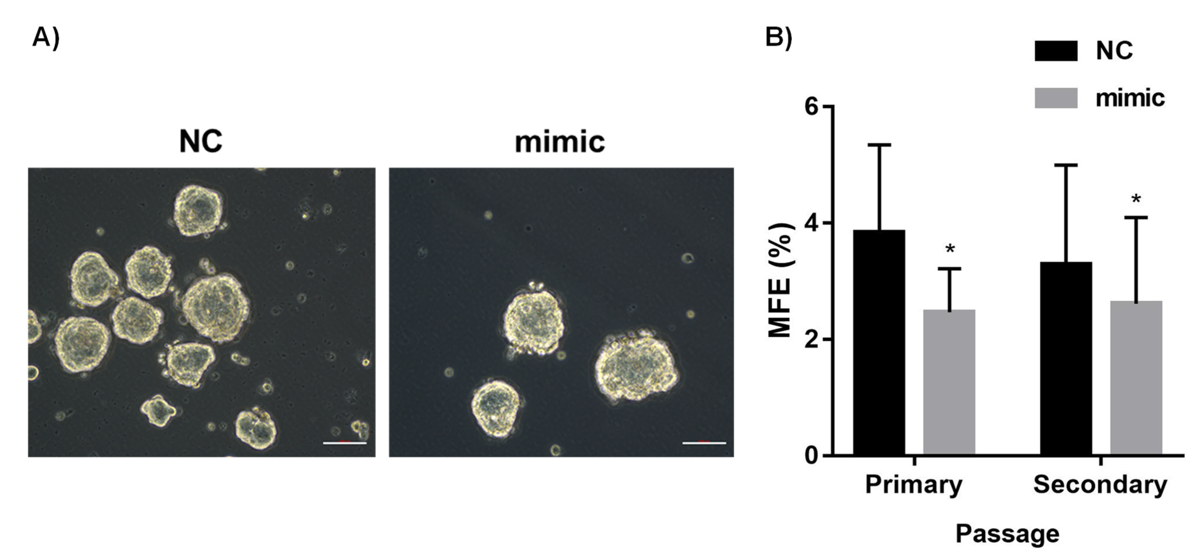 Diagnostics 12 00745 g004 Diagnostics 12 00745 g004
