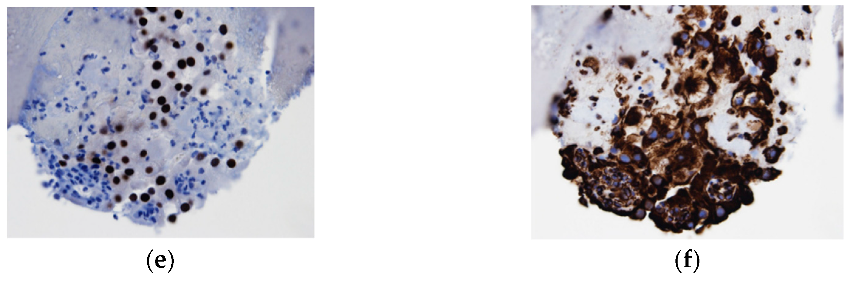 Diagnostics 12 00753 g002b