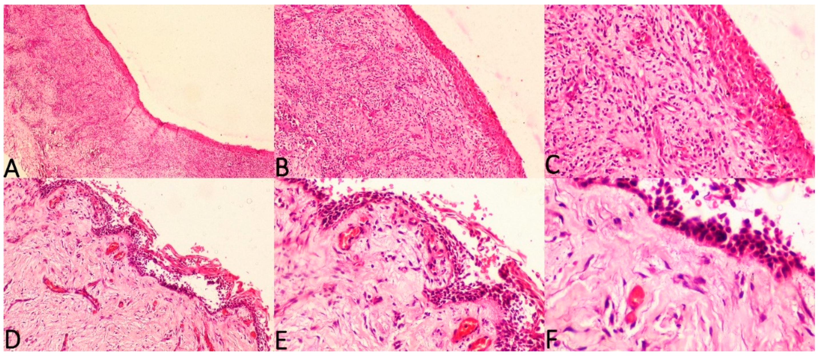 Diagnostics 12 00756 g003