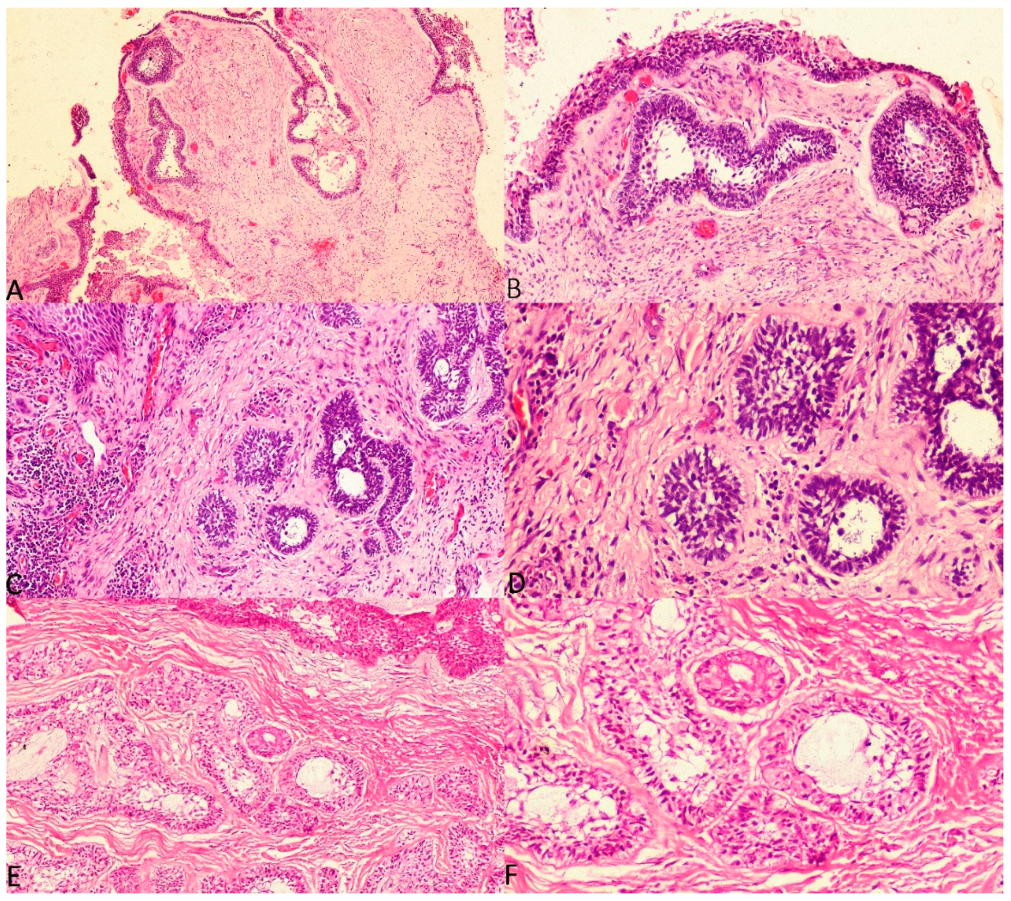Diagnostics 12 00756 g005