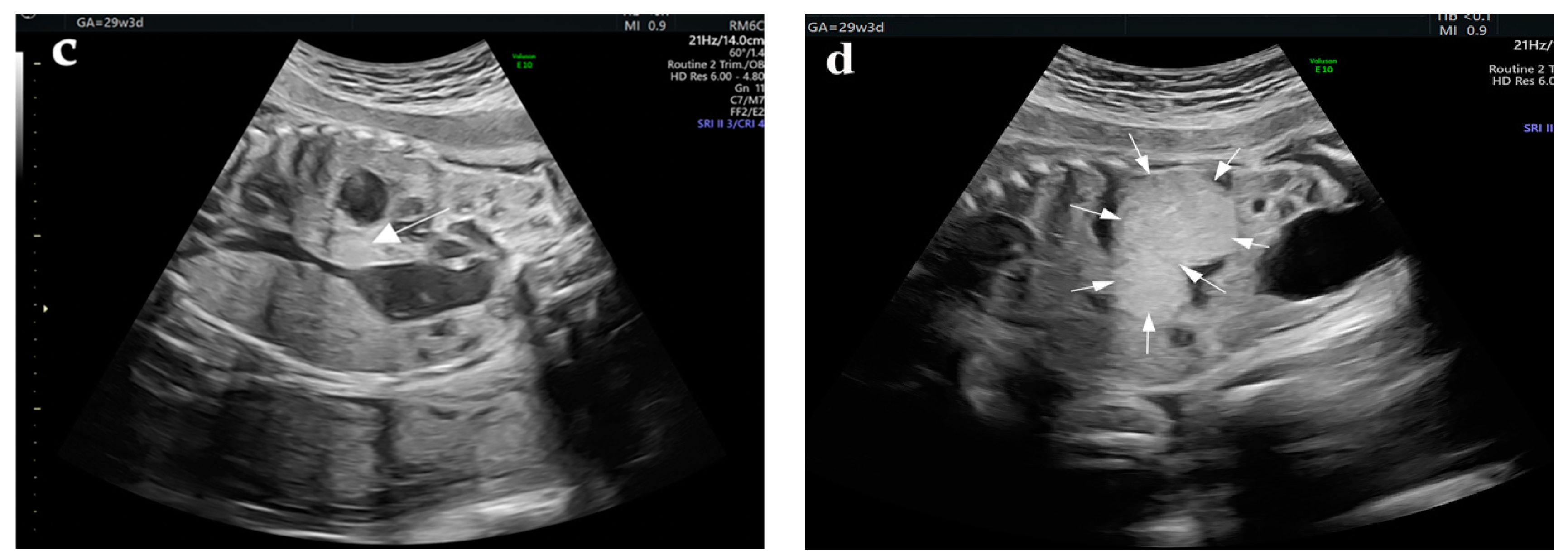 Diagnostics 12 00758 g001b