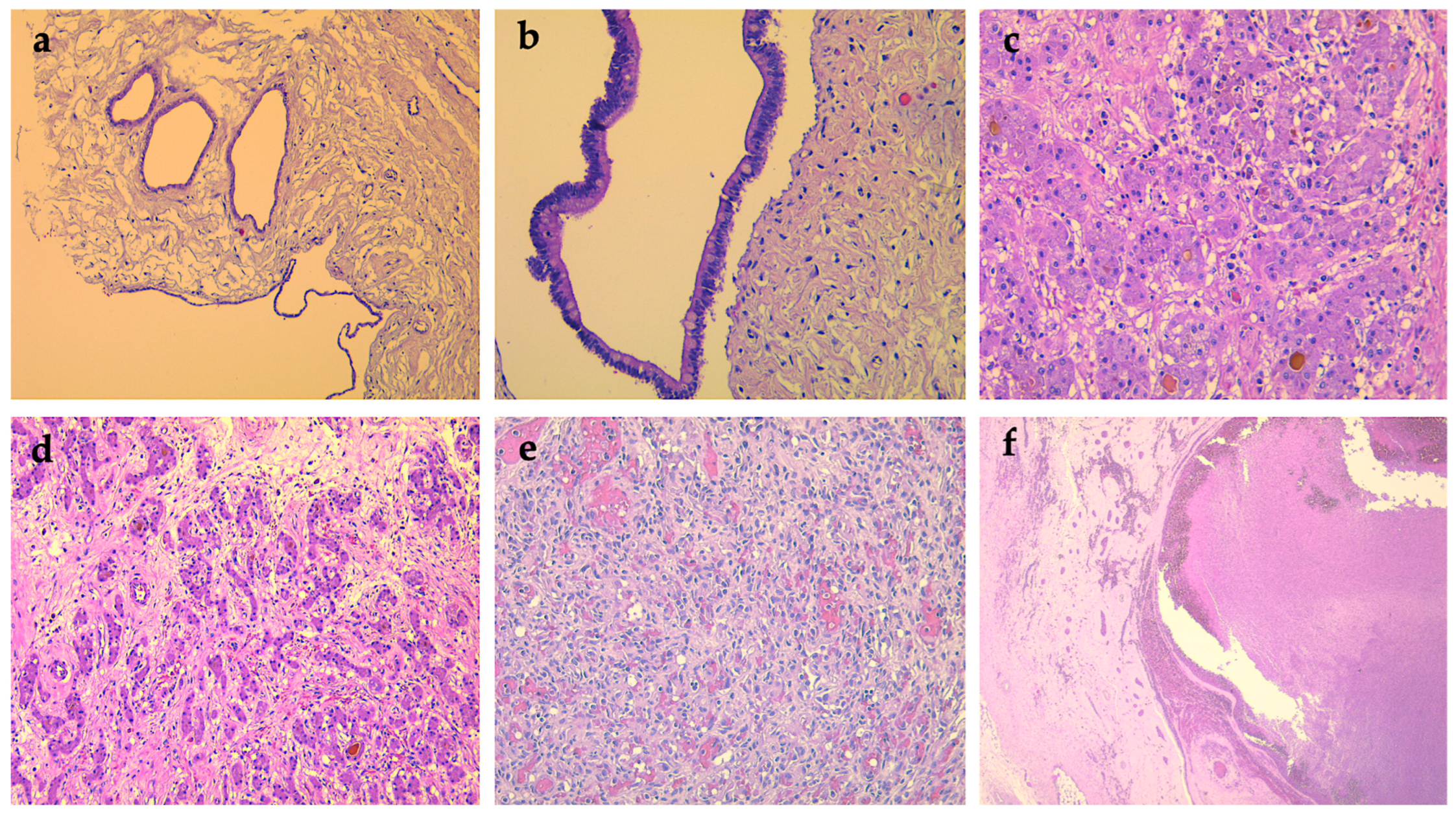 Diagnostics 12 00758 g004