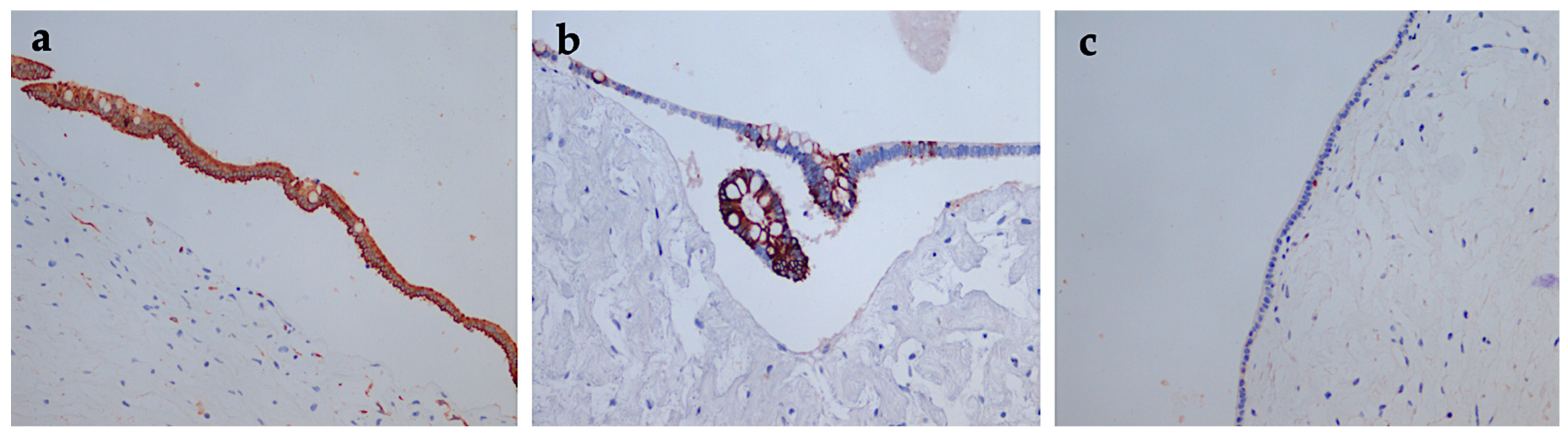 Diagnostics 12 00758 g005