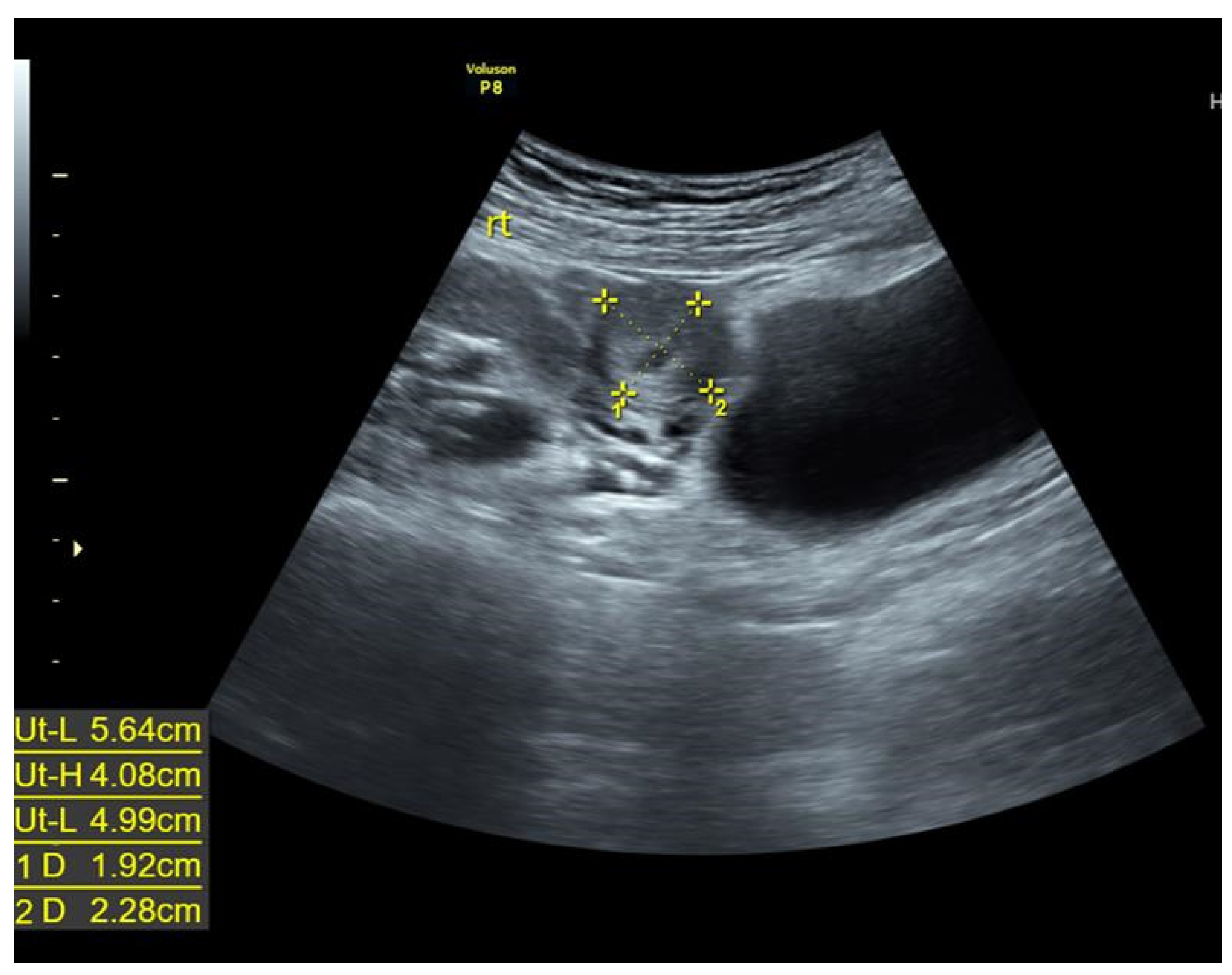Diagnostics 12 00759 g001