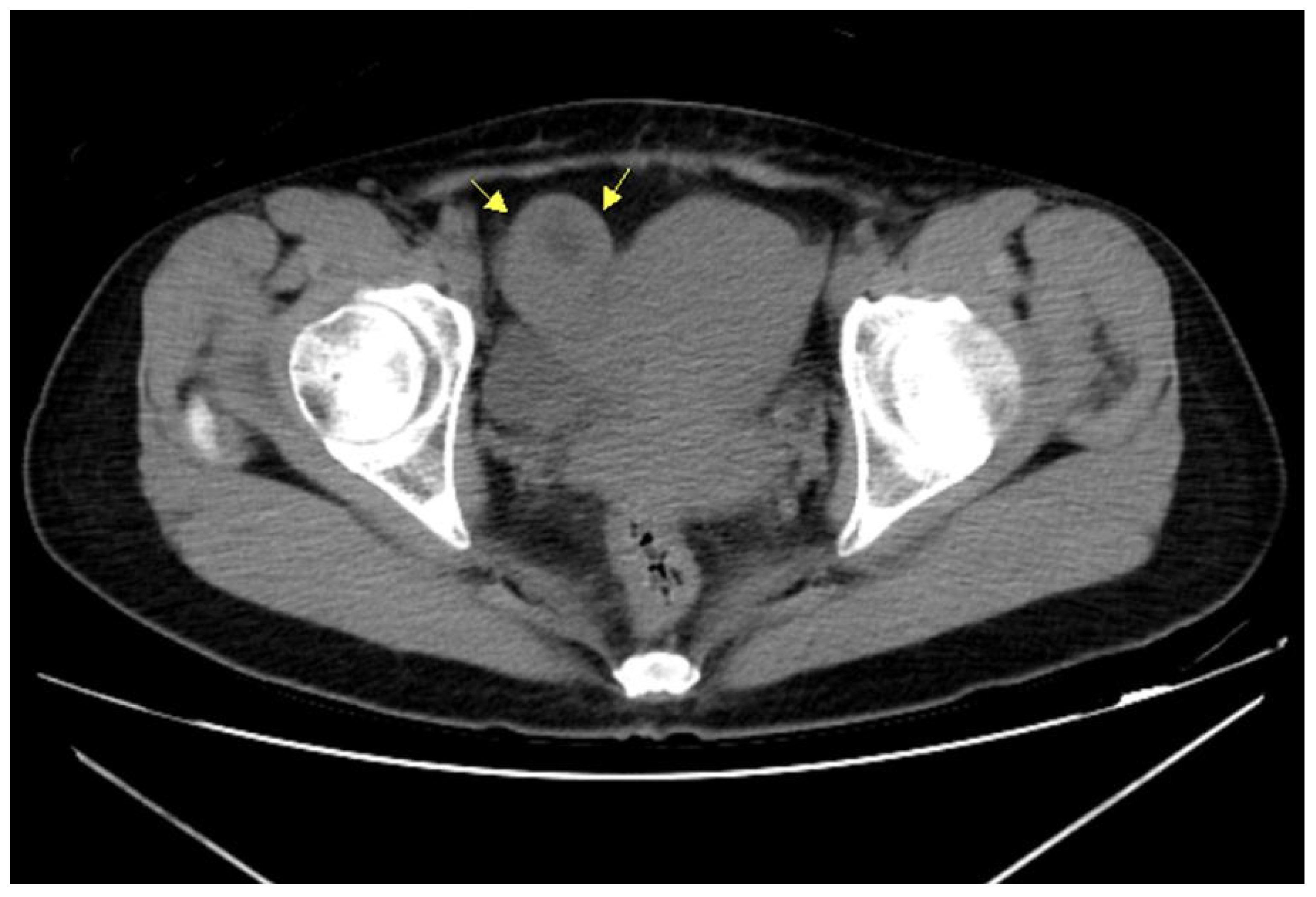 Diagnostics 12 00759 g002
