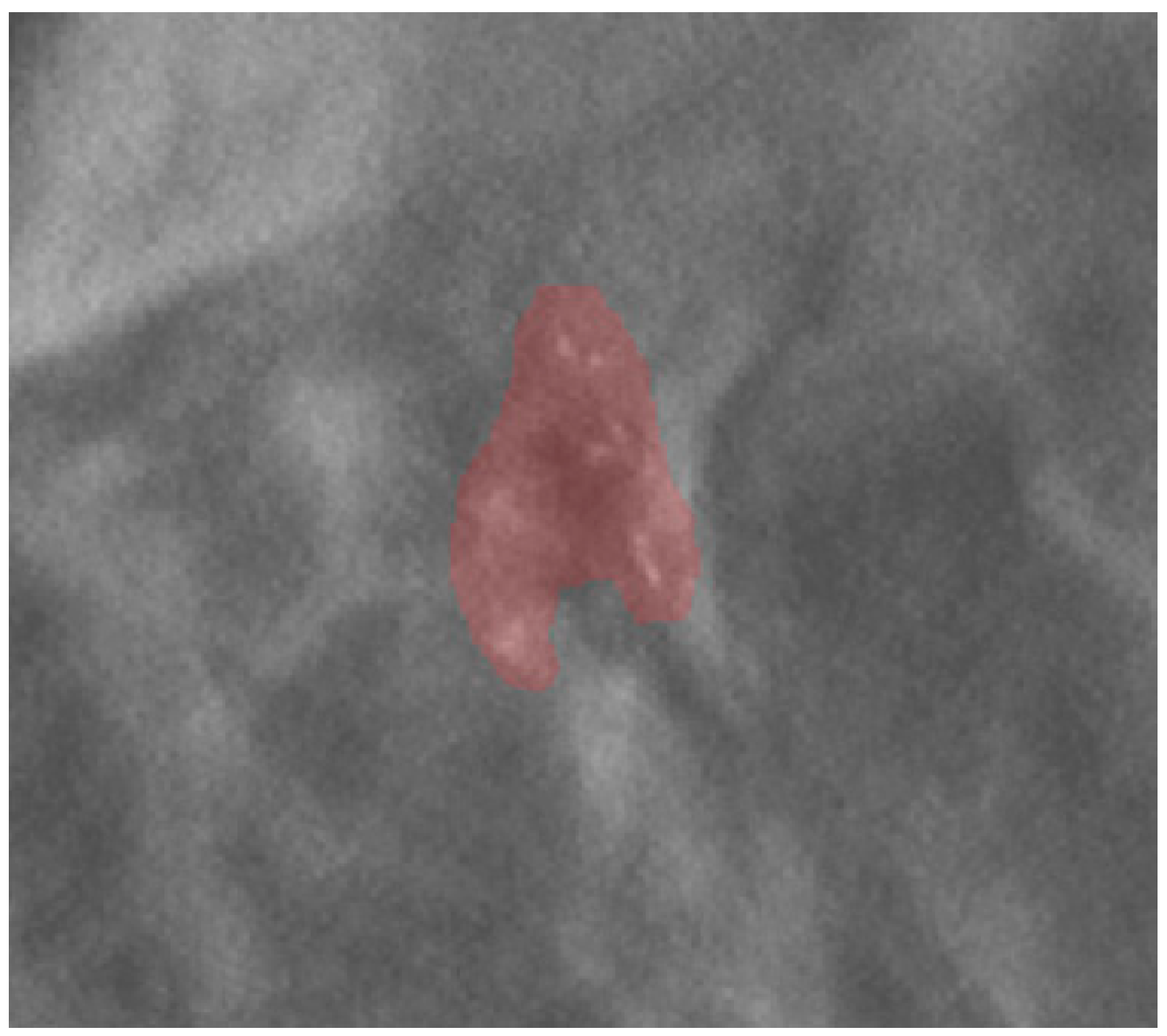 Diagnostics 12 00771 g001