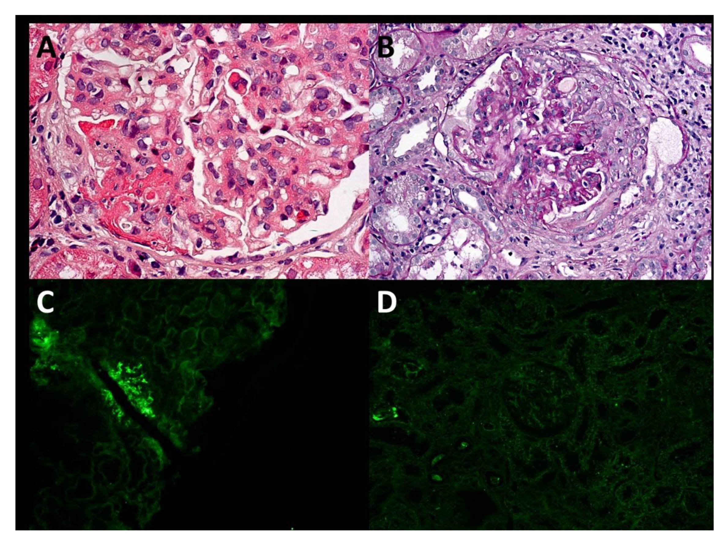 Diagnostics 12 00772 g001 550