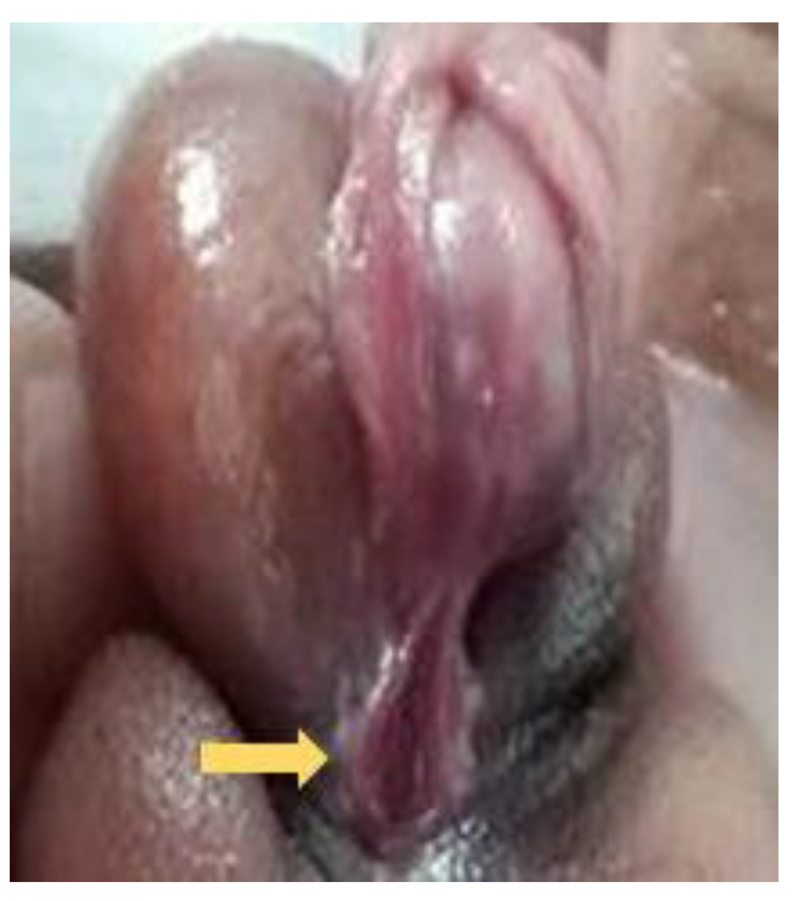 Diagnostics 12 00774 g012 Diagnostics 12 00774 g012