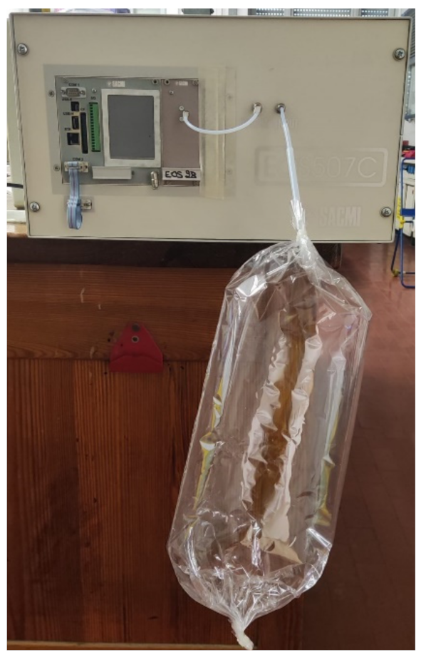 Diagnostics 12 00776 g002