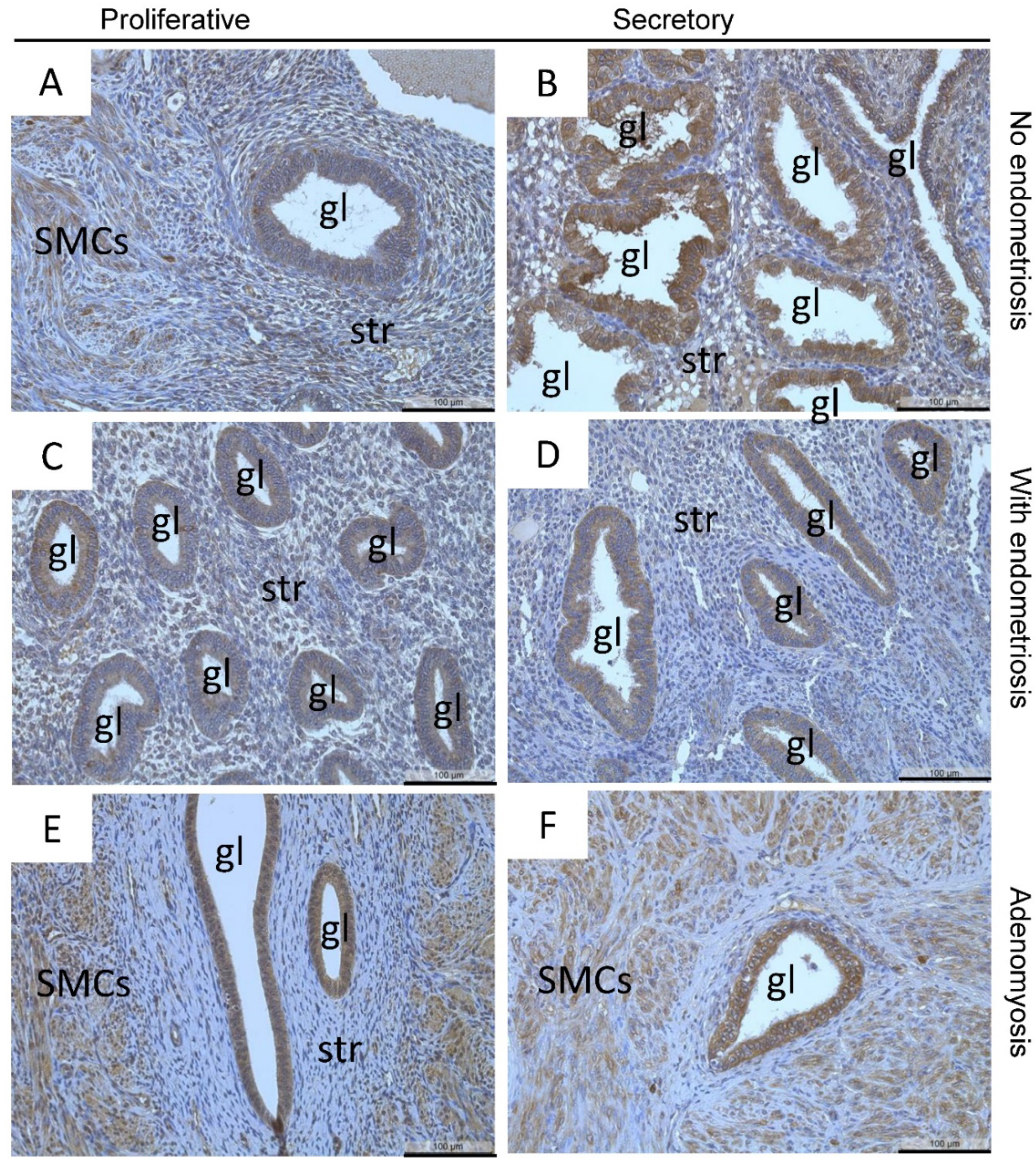 Diagnostics 12 00779 g002 Diagnostics 12 00779 g002