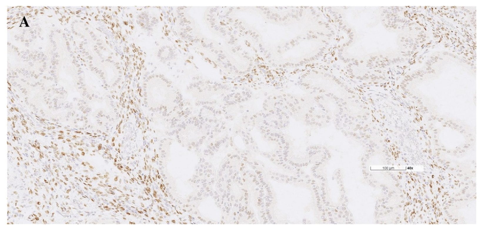 Diagnostics 12 00790 g002a