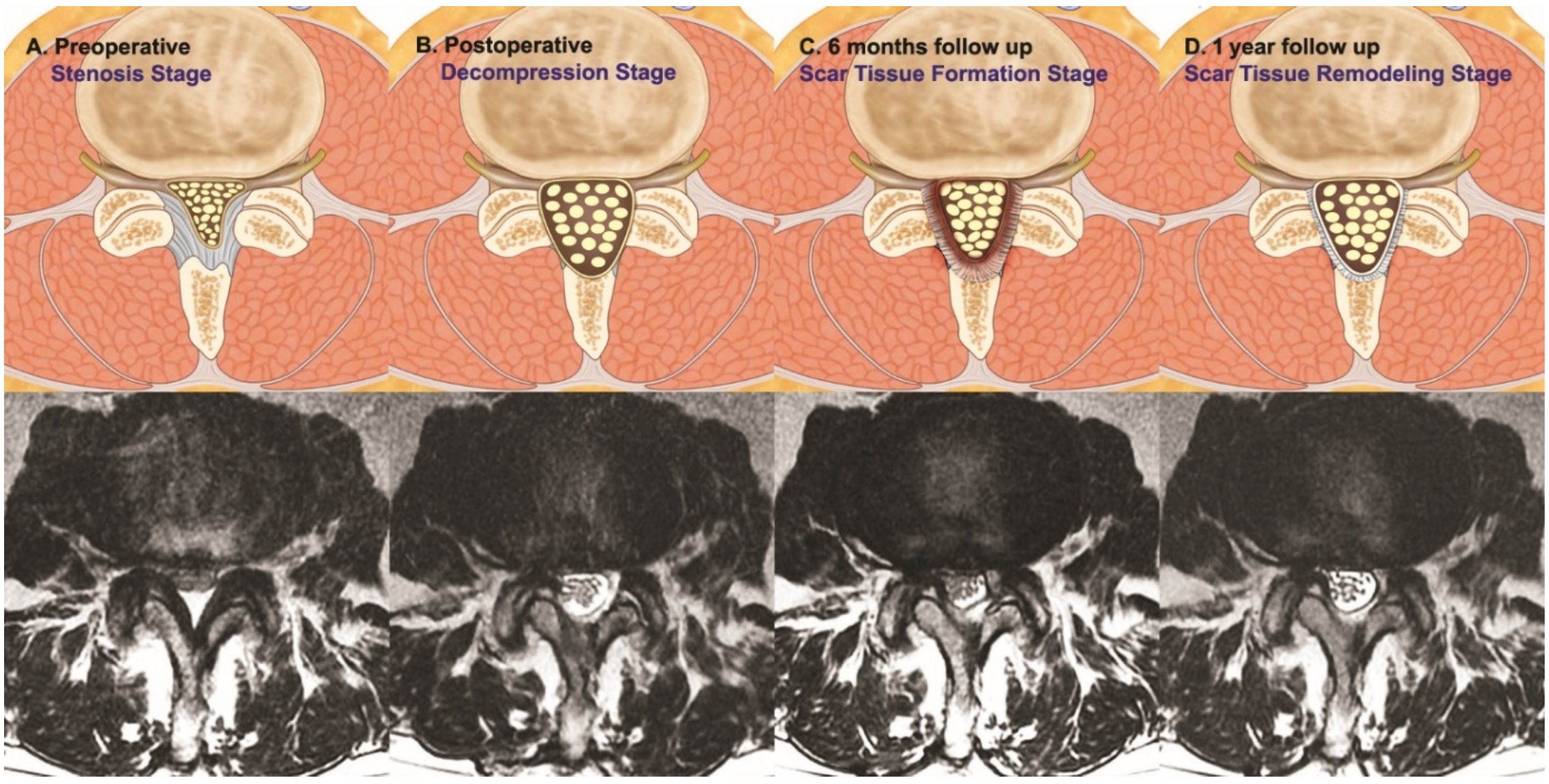 Diagnostics 12 00793 g008