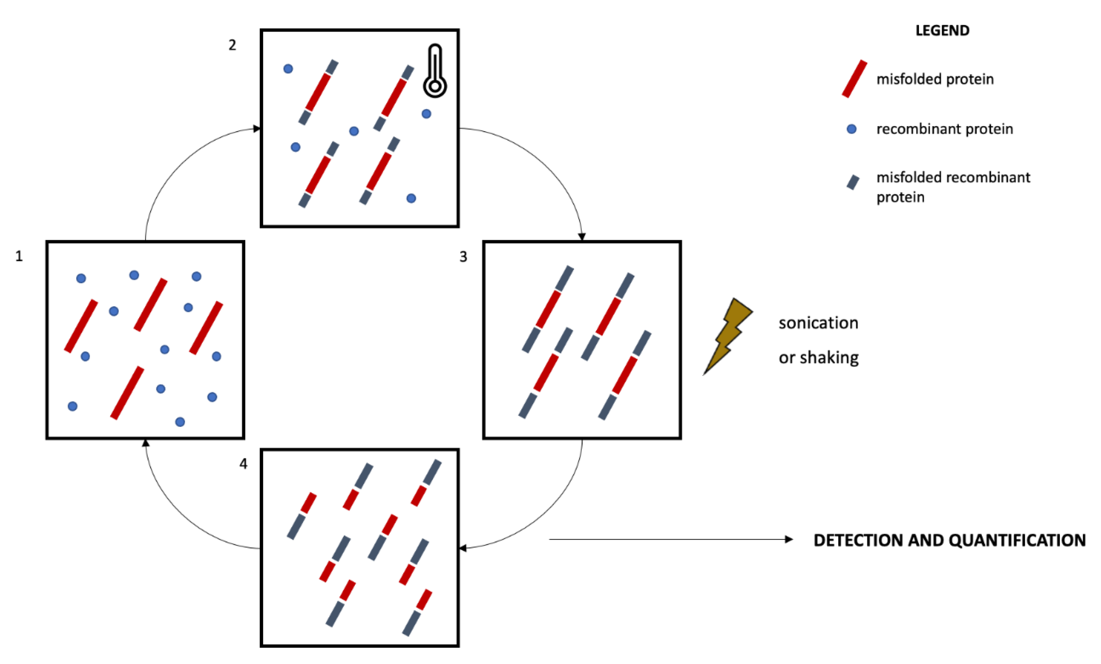 Diagnostics 12 00796 g001 550