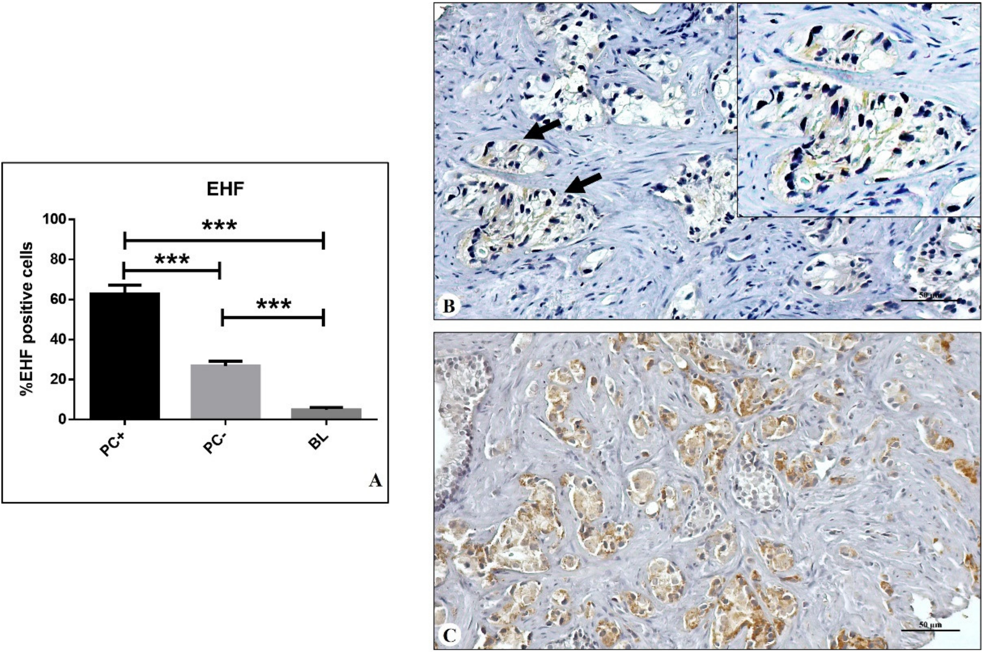 Diagnostics 12 00800 g001