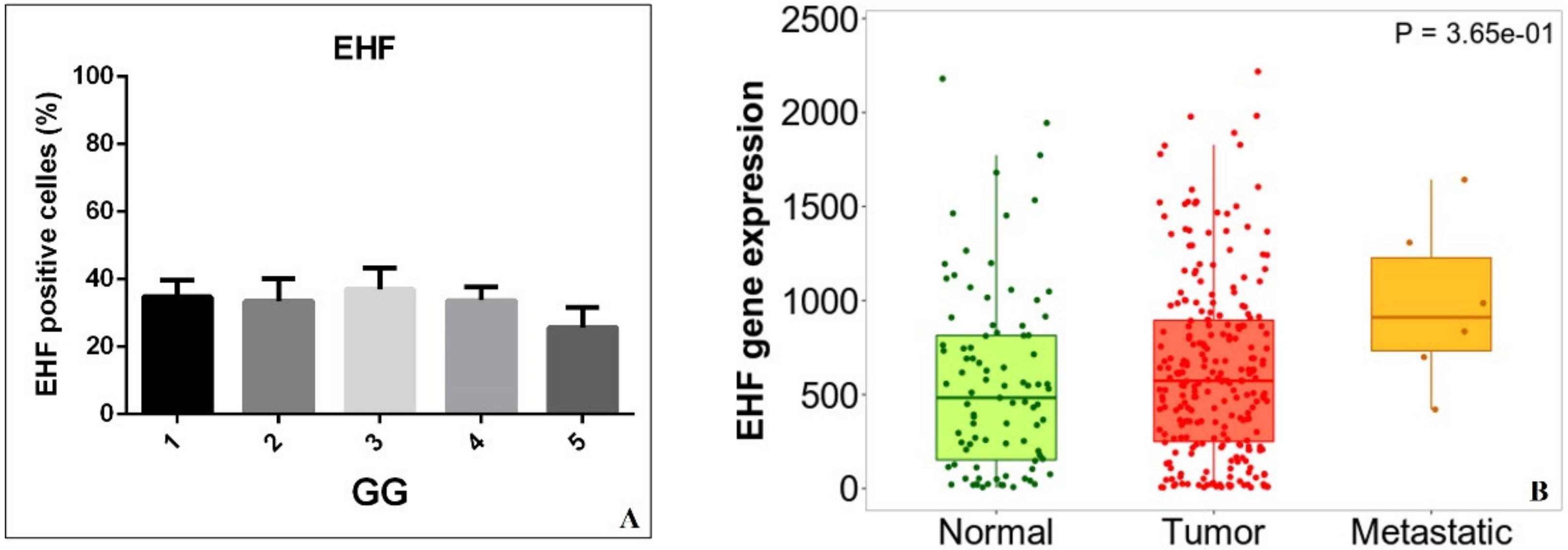 Diagnostics 12 00800 g002
