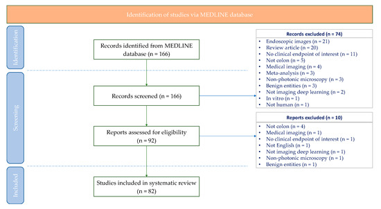 Diagnostics | Free Full-Text | Deep Learning on Histopathological ...