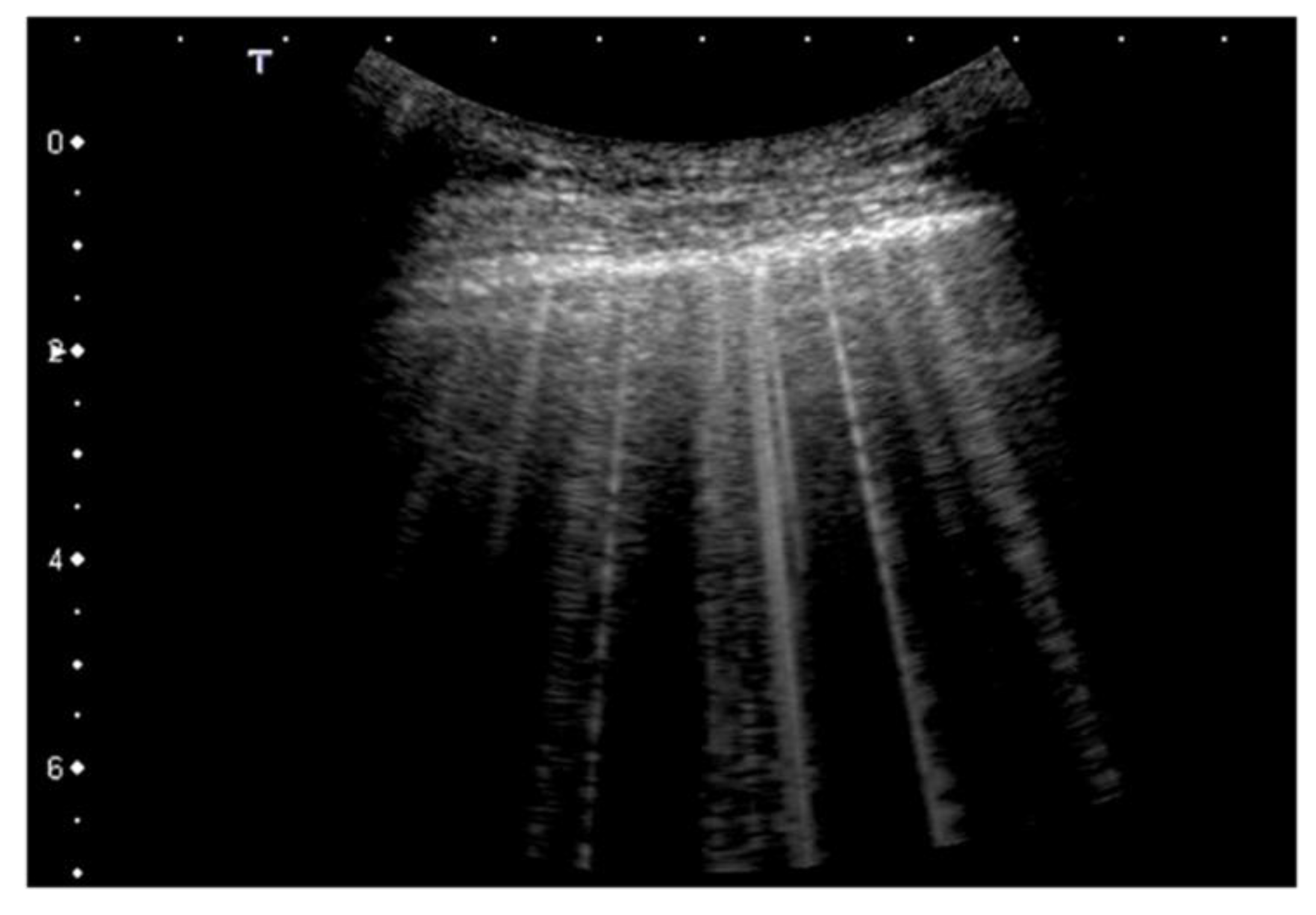 Diagnostics 12 00838 g004 550