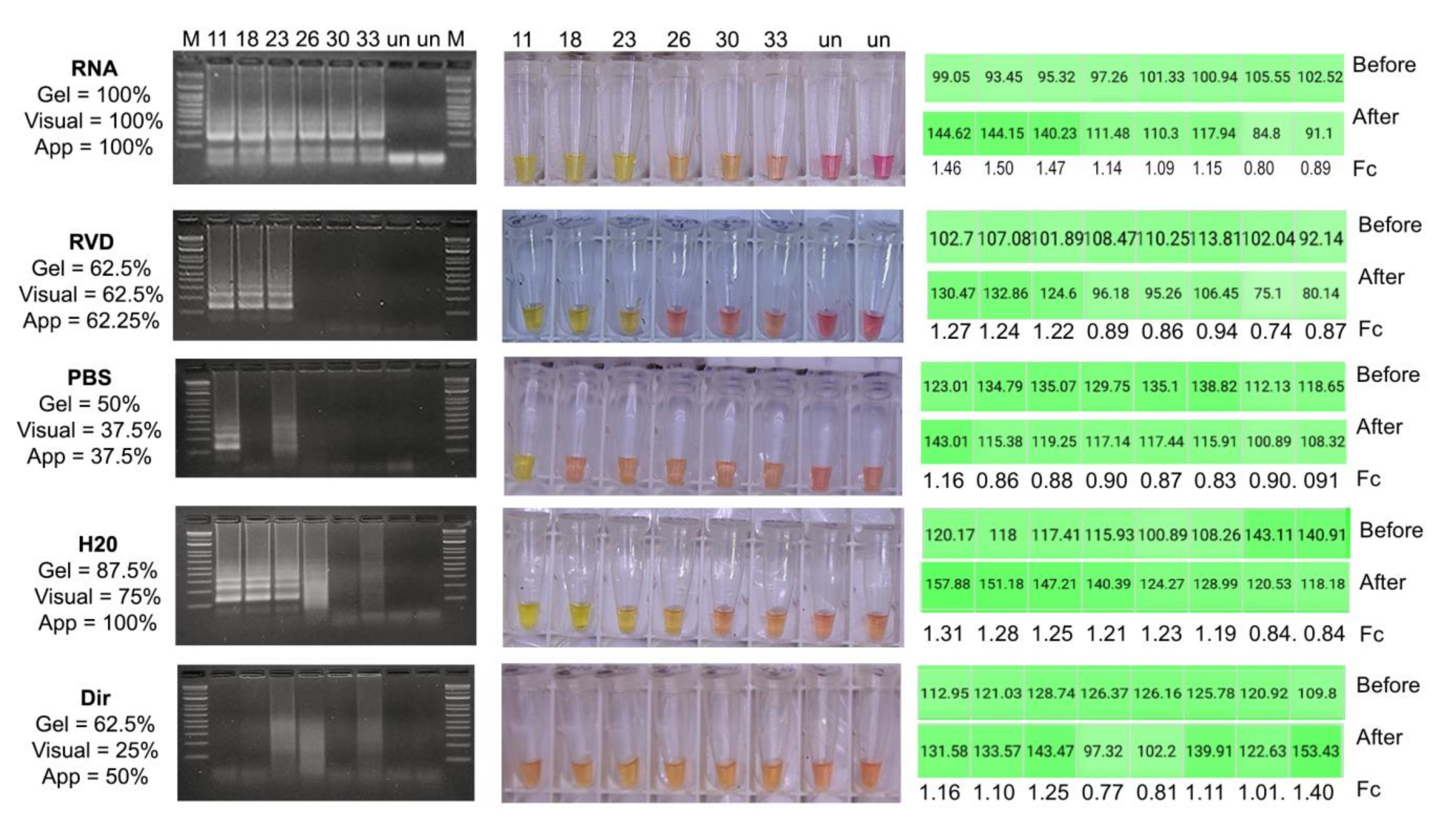 Diagnostics 12 00848 g001