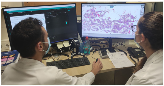 DigiPatICS Scanners in situ