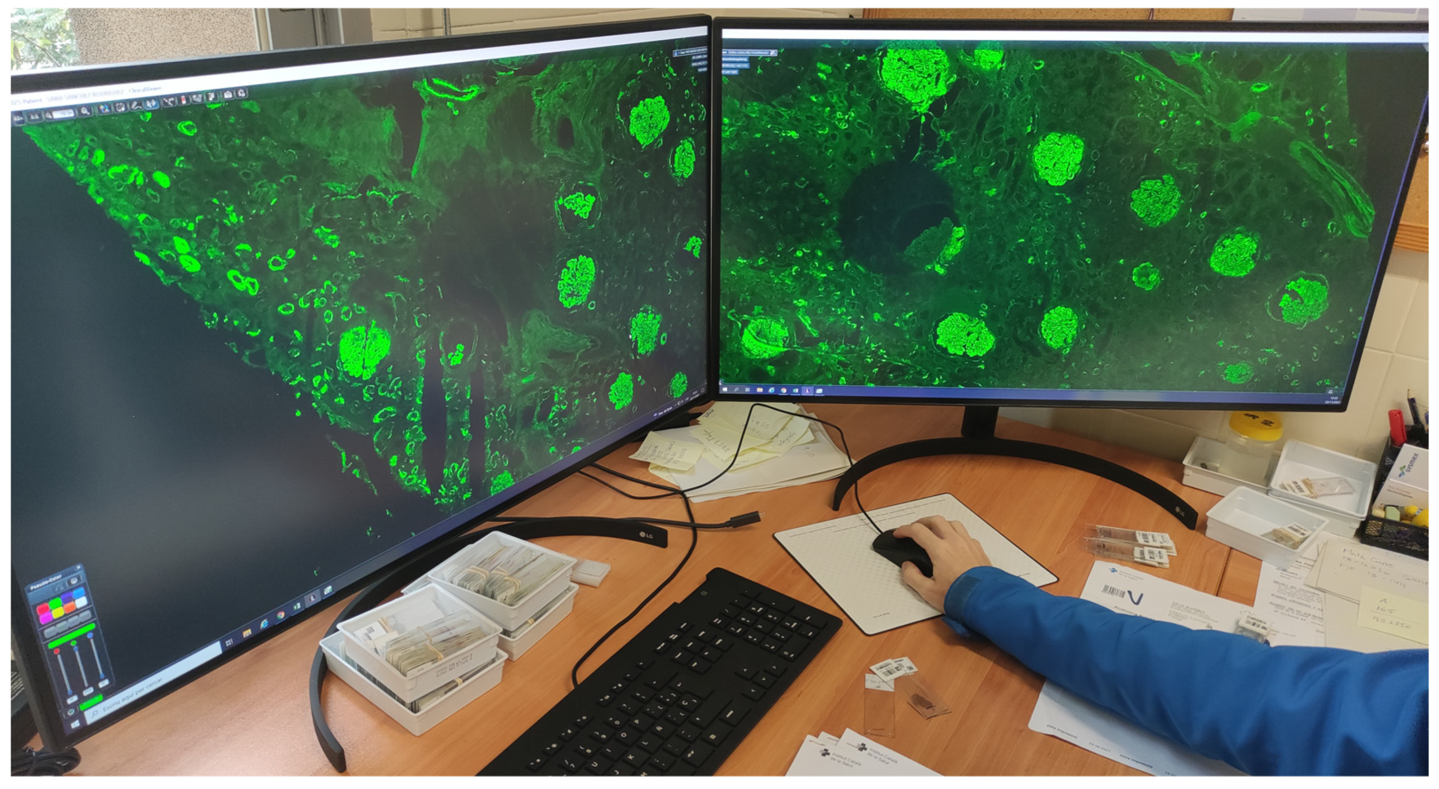 Diagnostics 12 00852 g010 550