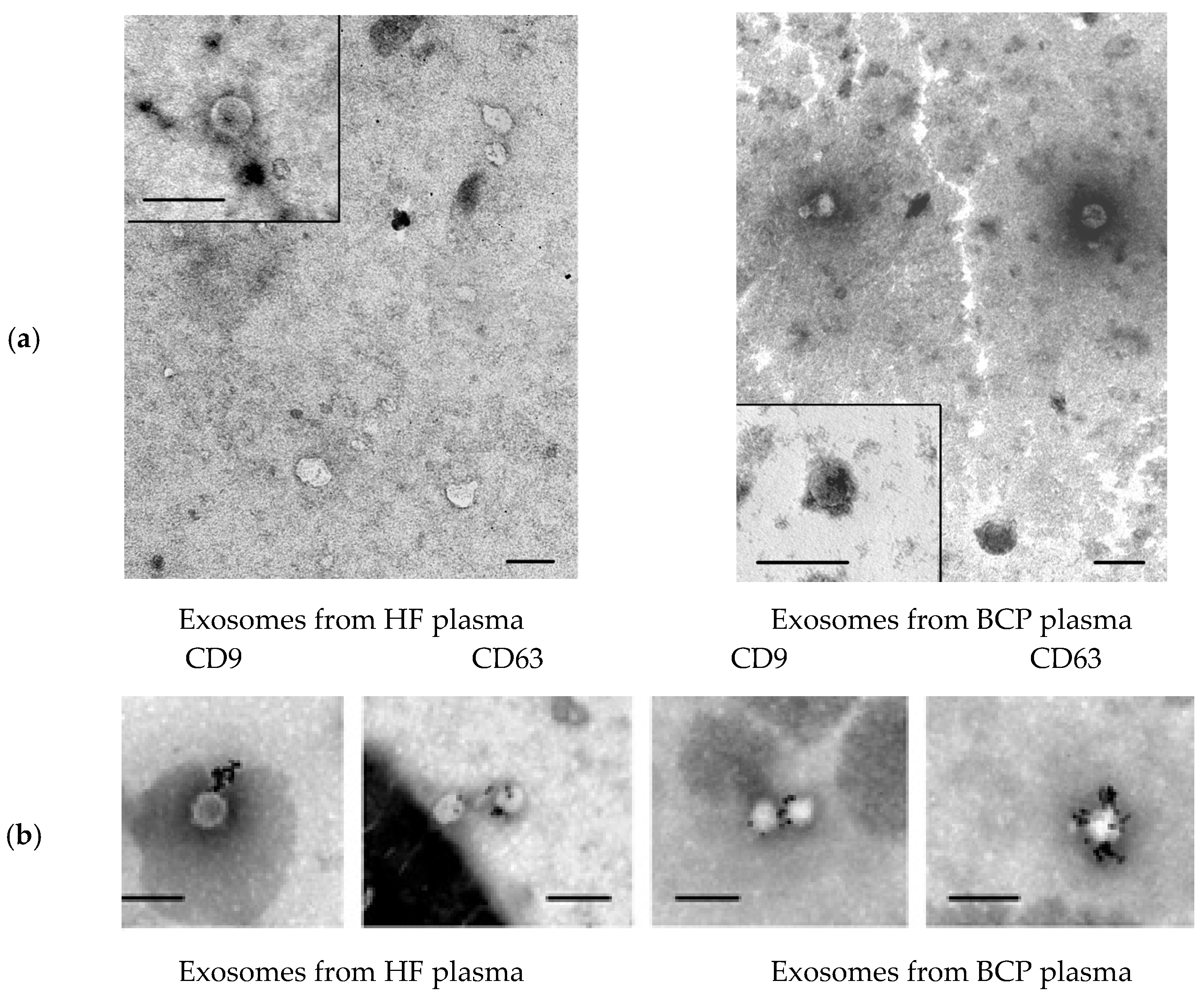 Diagnostics 12 00854 g001