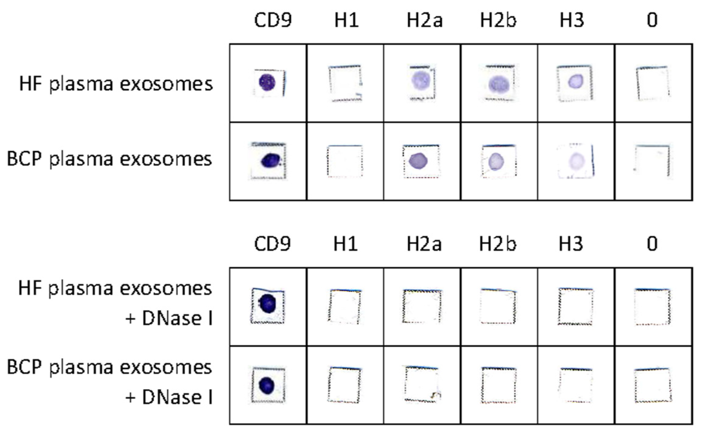 Diagnostics 12 00854 g005