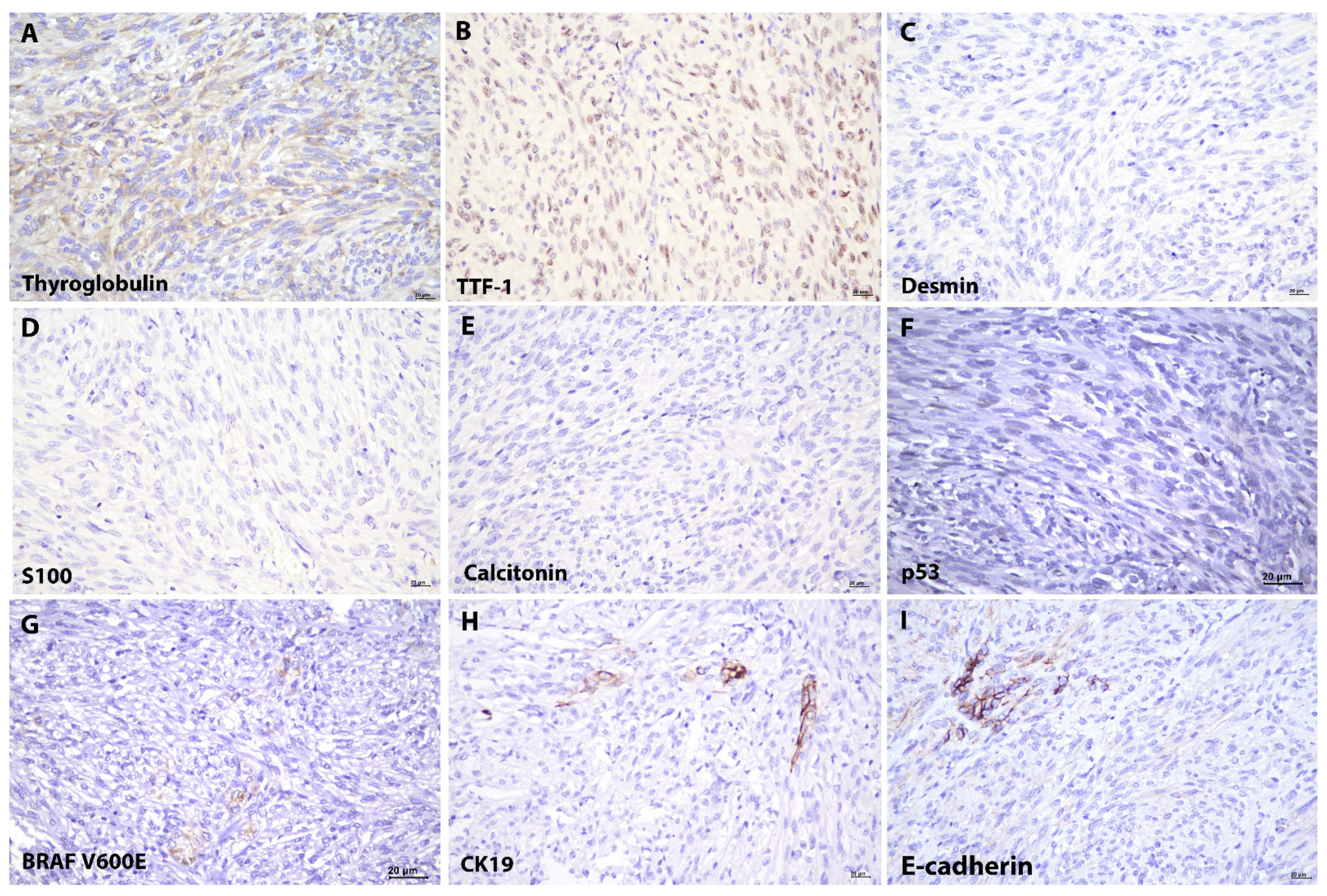 Diagnostics 12 00855 g003 550