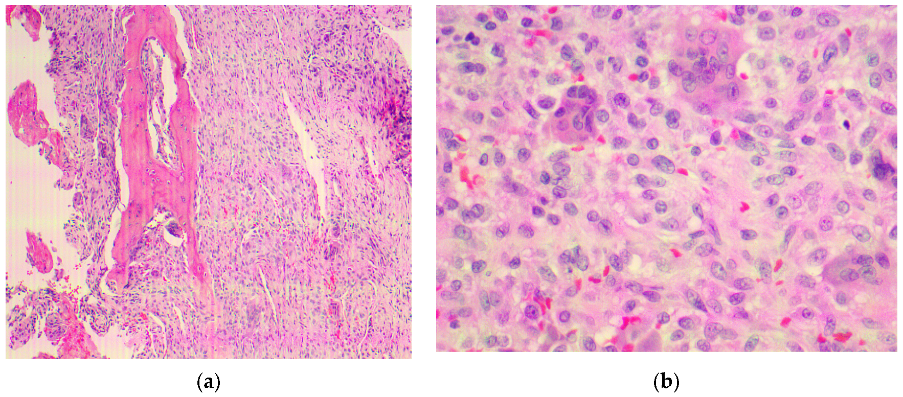 Diagnostics 12 00857 g004