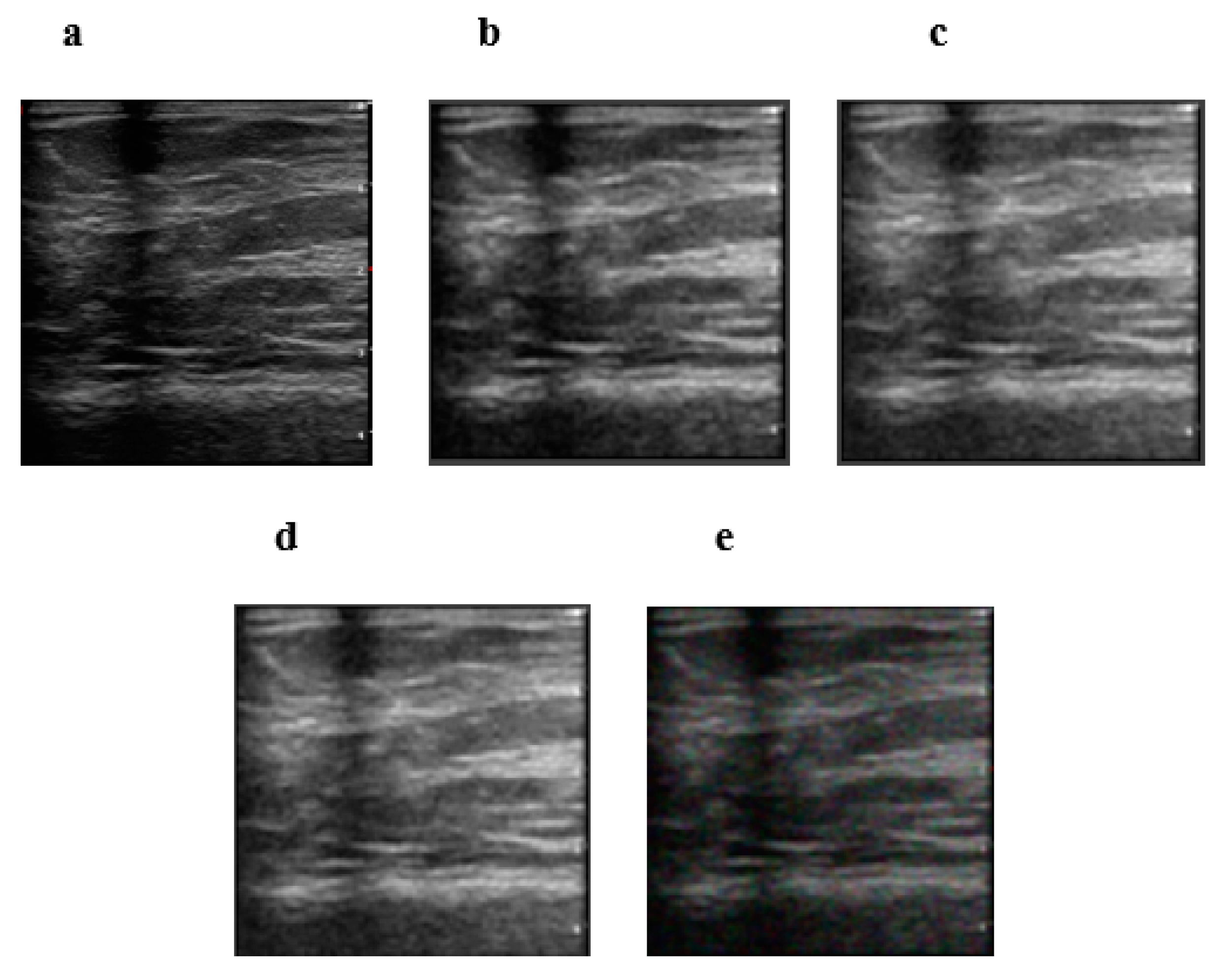Diagnostics 12 00862 g005