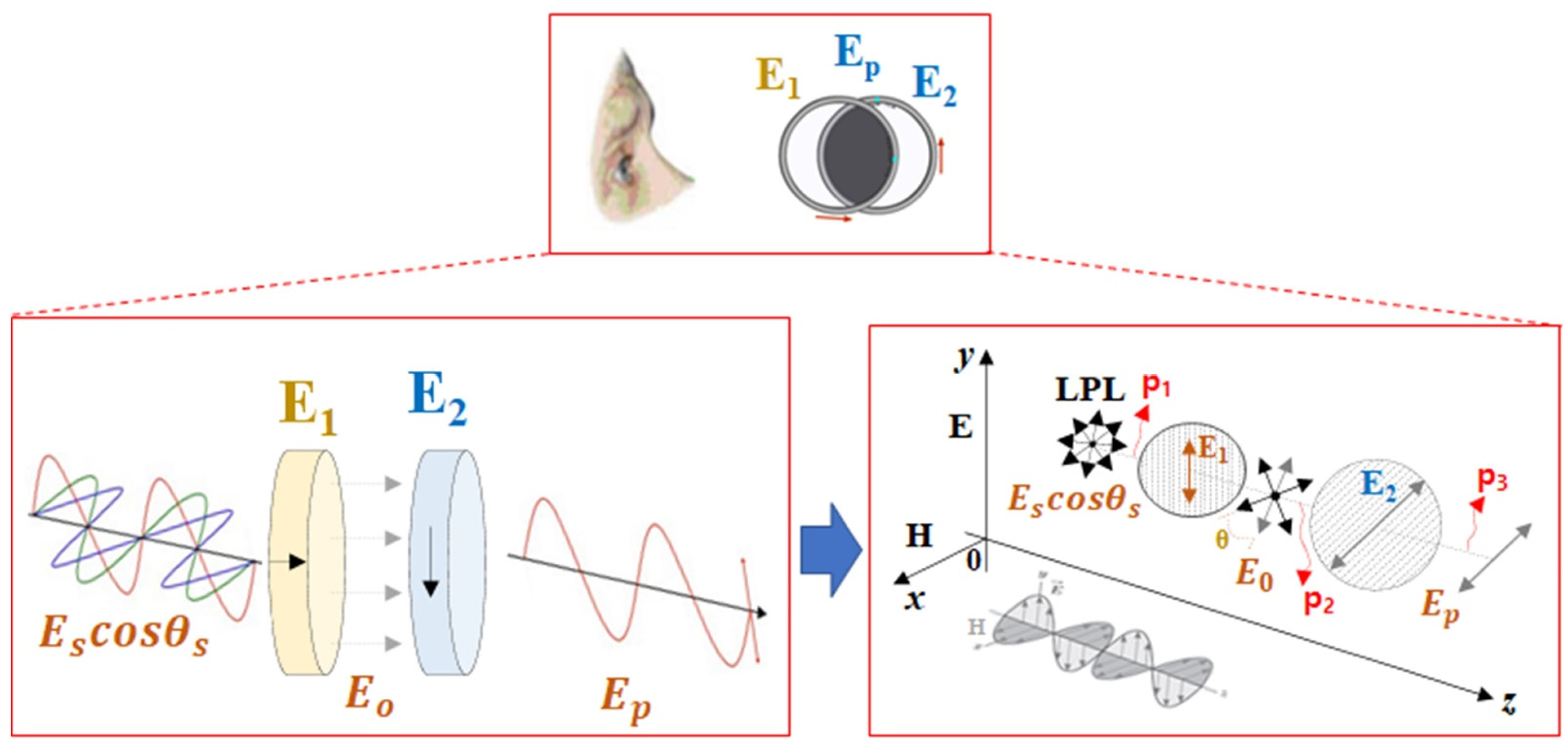 Diagnostics 12 00863 g003 550