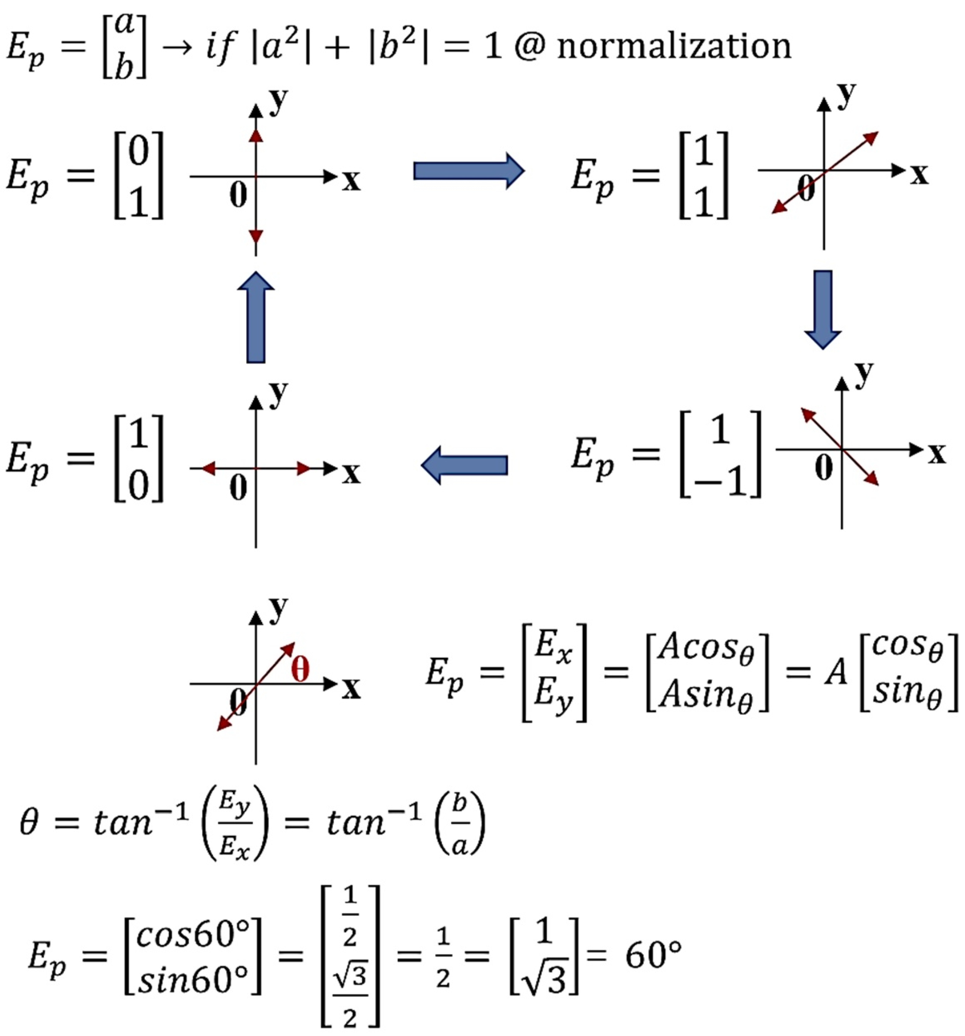 Diagnostics Free FullText Removal of Specular Reflection Using