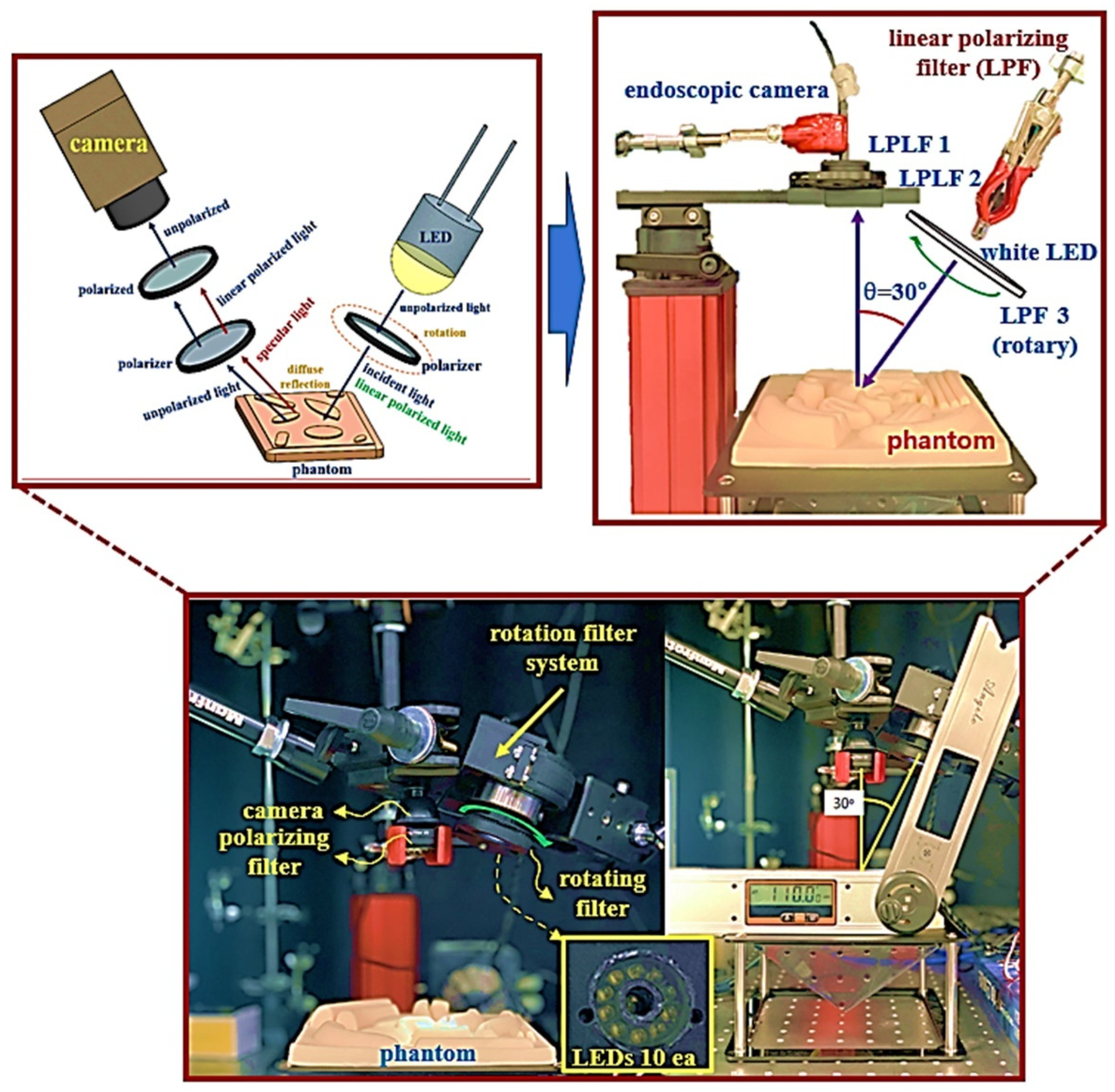Diagnostics 12 00863 g008 550