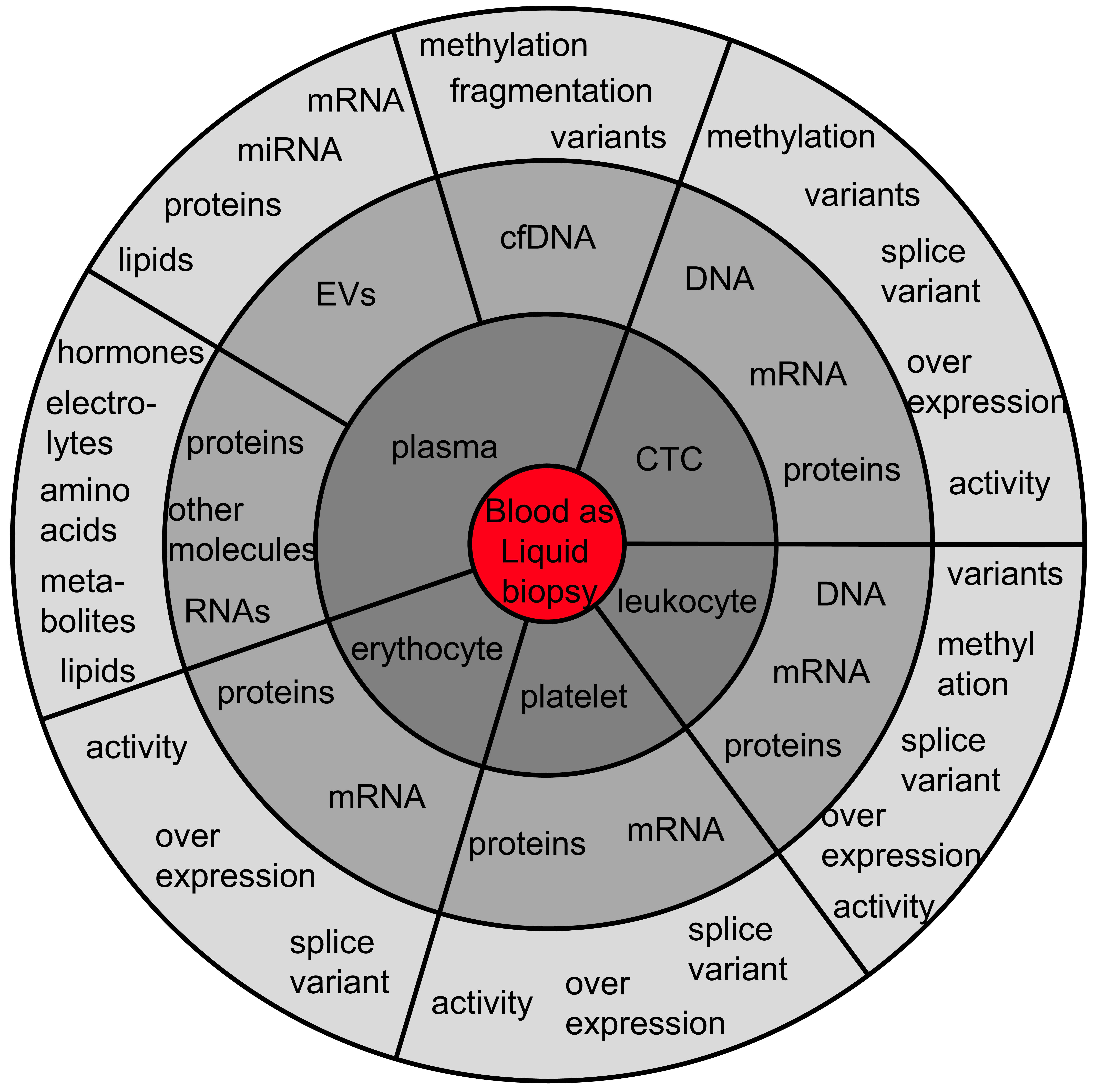 Diagnostics 12 00870 g001