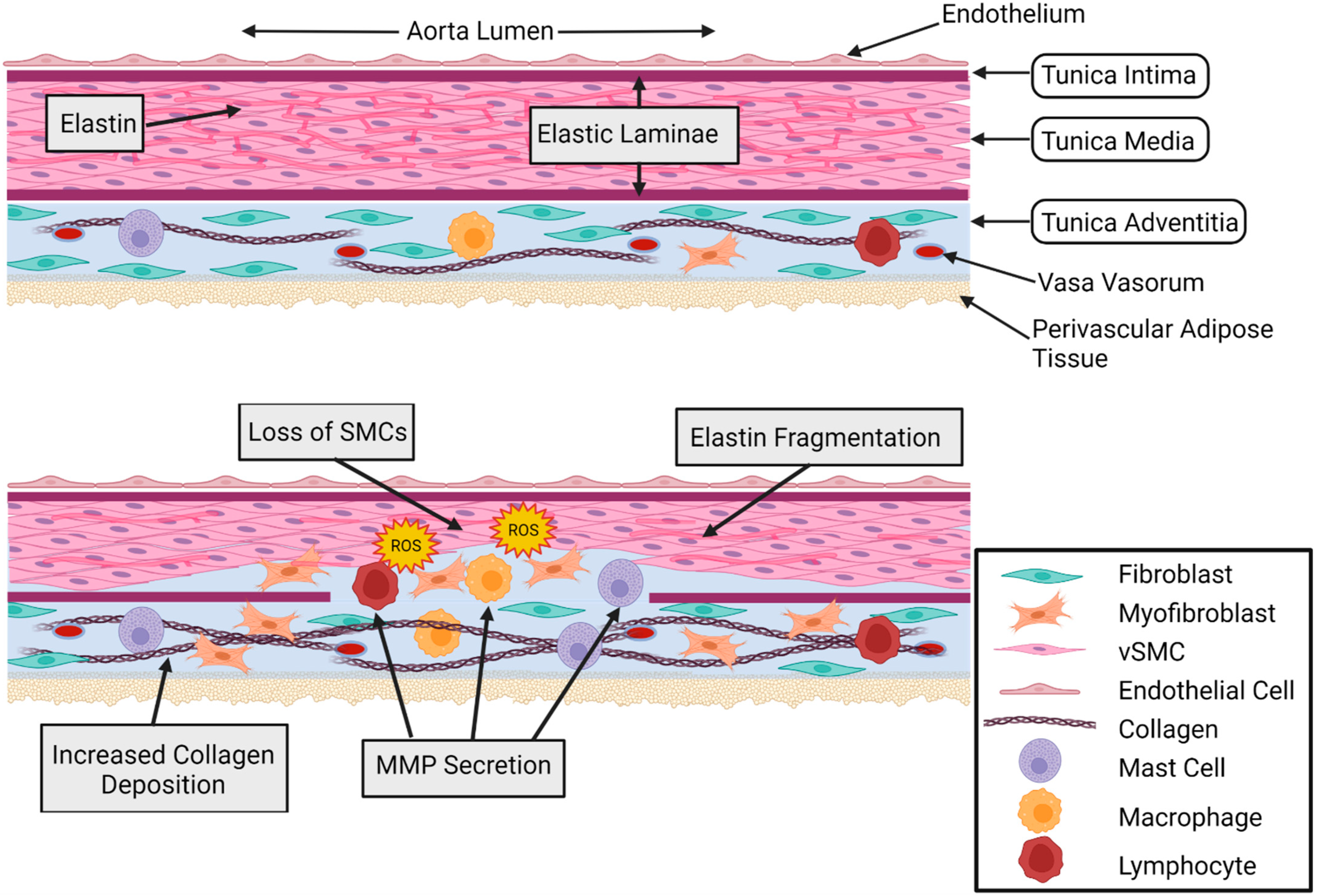 Diagnostics 12 00871 g001 Diagnostics 12 00871 g001